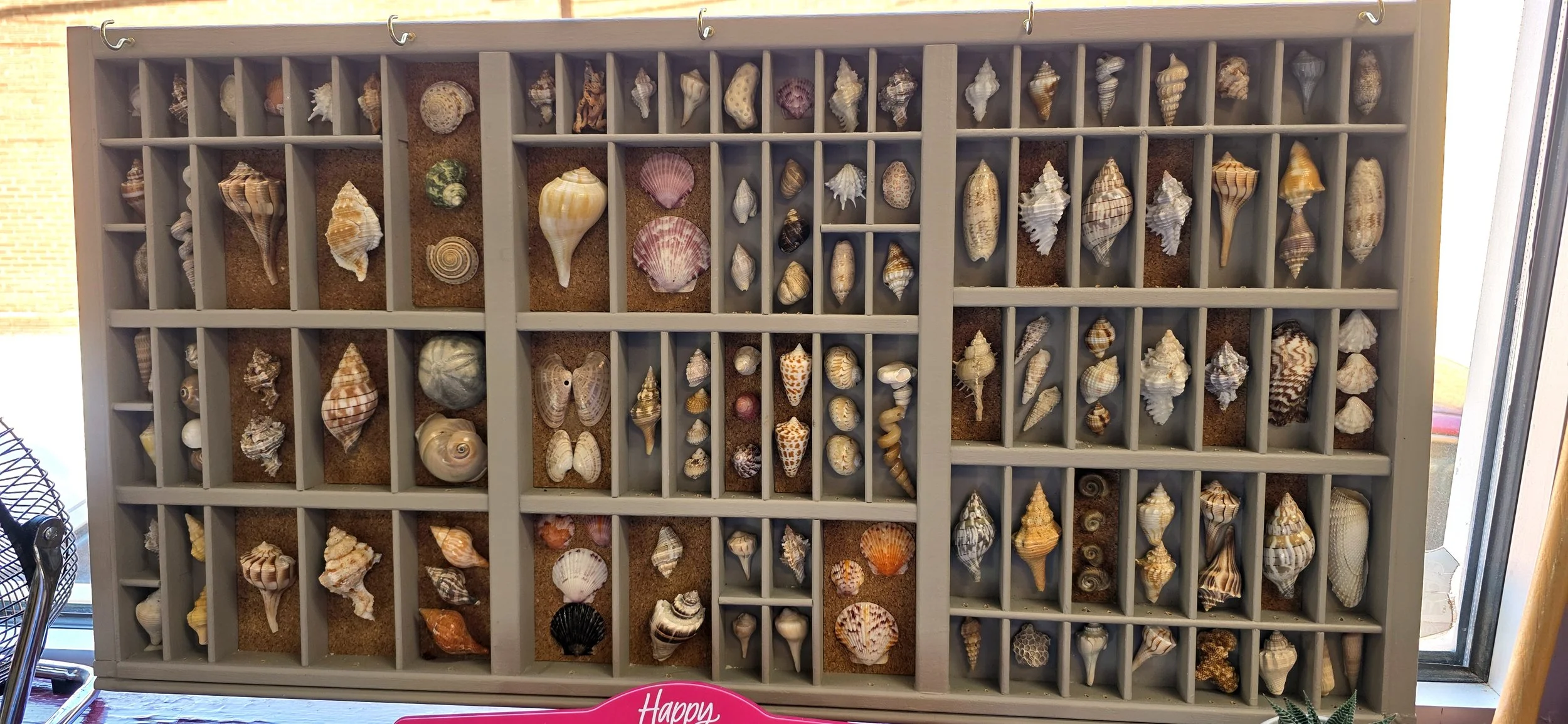 Favorite project EVER. All hand collected by me and mounted on a printer tray as a nod to my print shop days.
