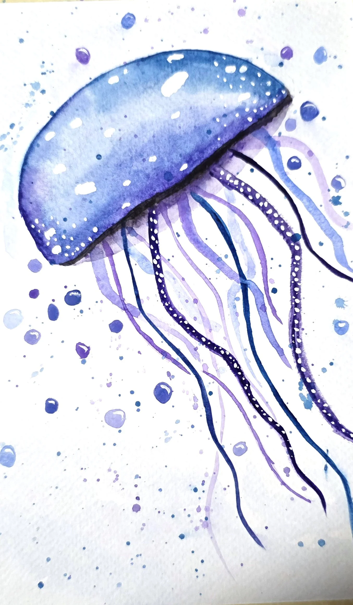 Jellyfish