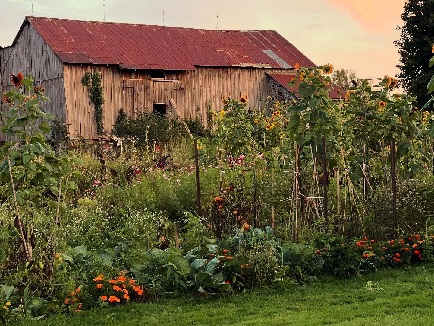 Coming soon to realtor.ca &mdash; a raised bungalow on two-acres of lush flower beds, vegetable gardens, cedar hedges, and your very own apple orchard. A lifestyle of beauty, balance, and self-sustainability &mdash; where every day you will feel a li