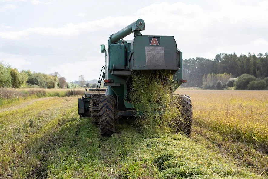 Garca Branca Jorge Viera rice harvesting machine