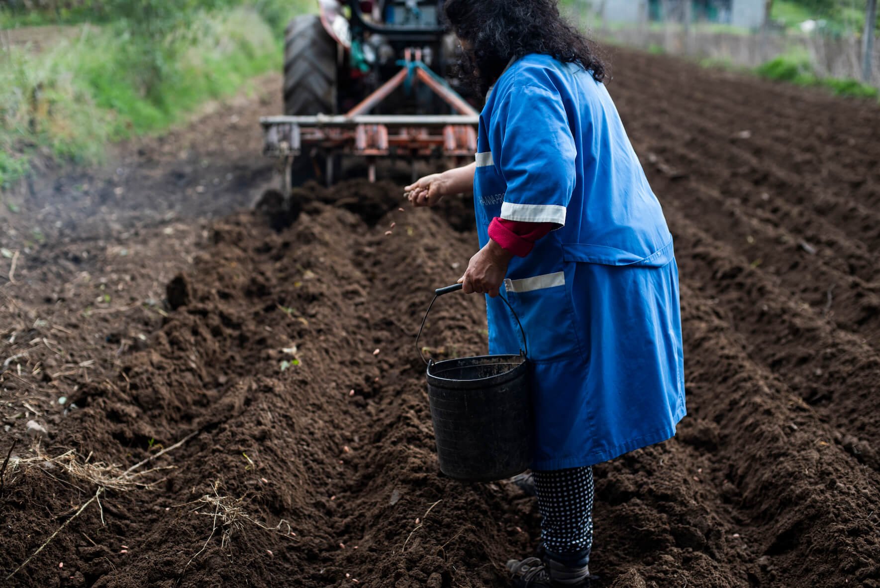 reigado farm portugal sowing beans