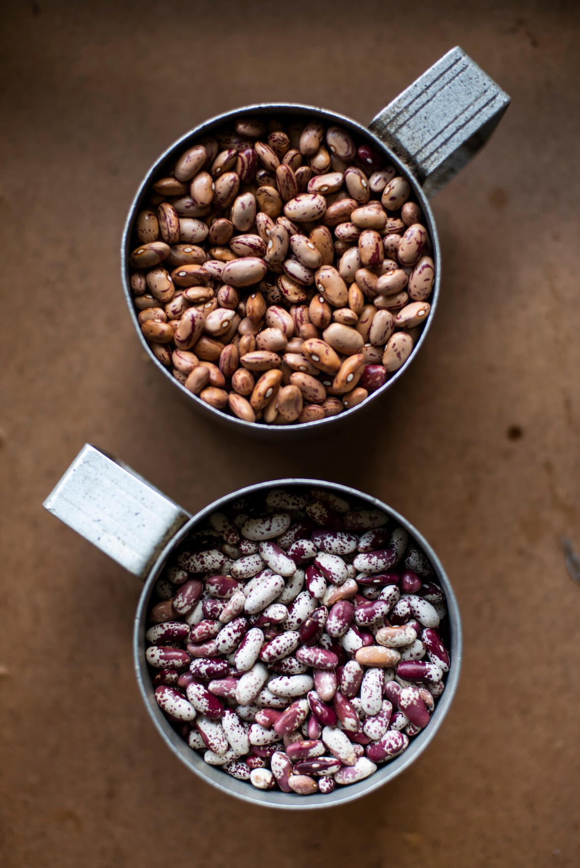 reigado pinto and lindinho beans