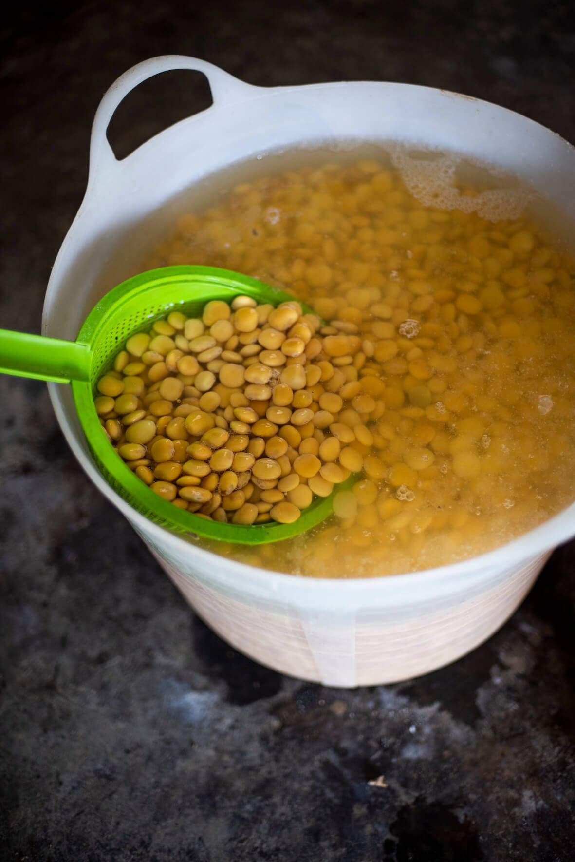 reigado portugal lupini beans soaking
