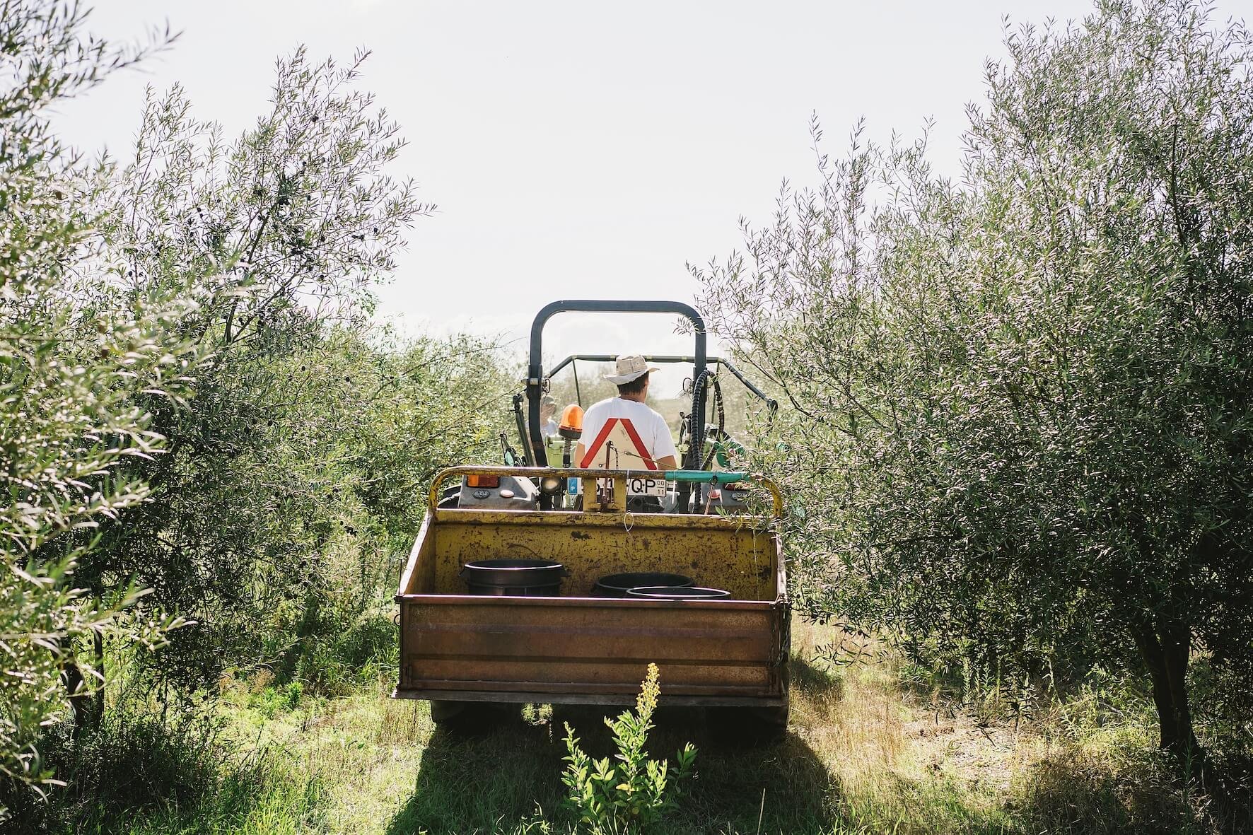 passeite farm, portugal, gui on tractor