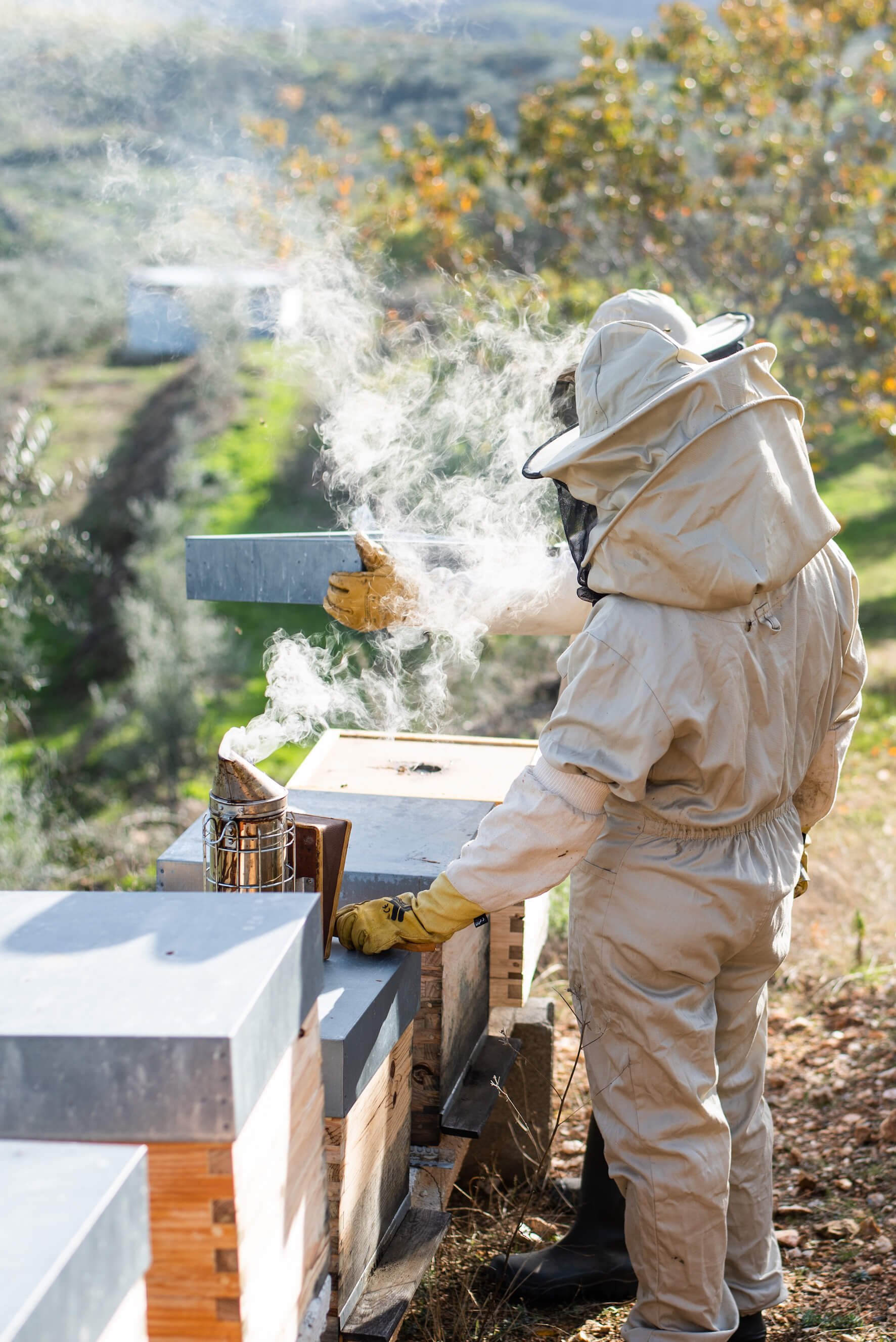 Éme Beekeepers smoking the hives