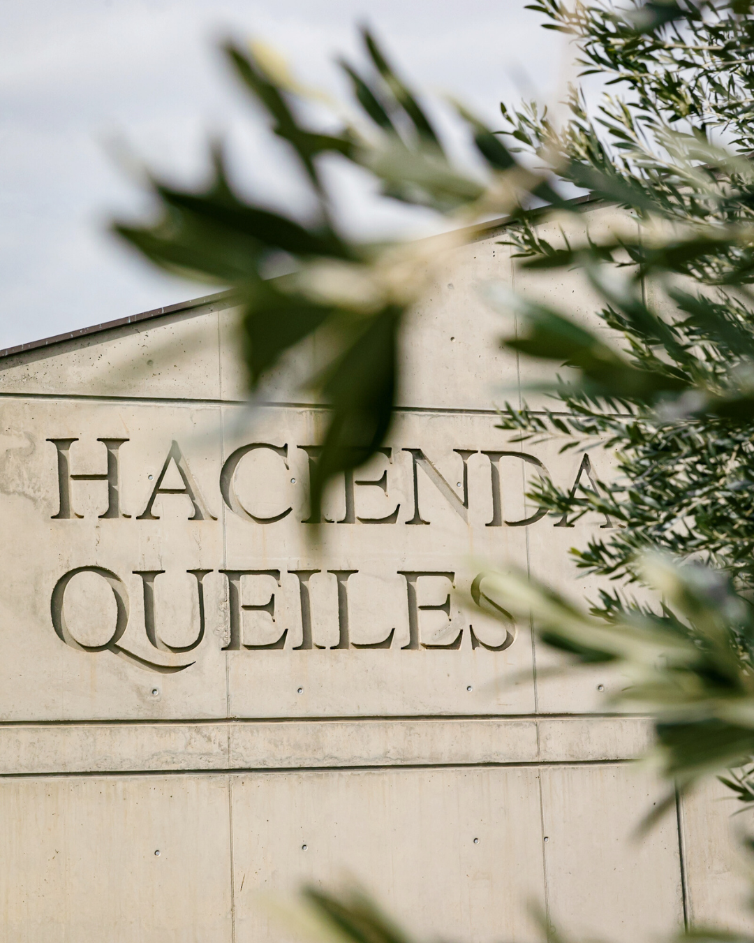 The mill of Alhema EVOO New Dawn Traders olive oil from Hacienda Queiles