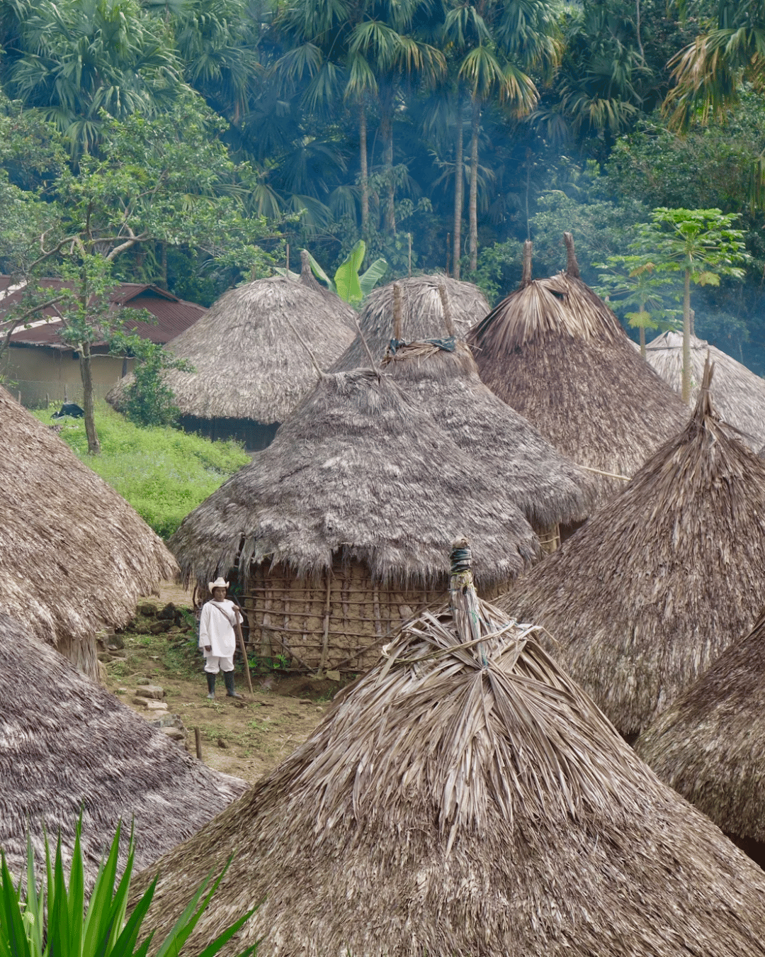 Sierra Nevada Colombia where the Arhuaco work with Asoseynekun to supply panela