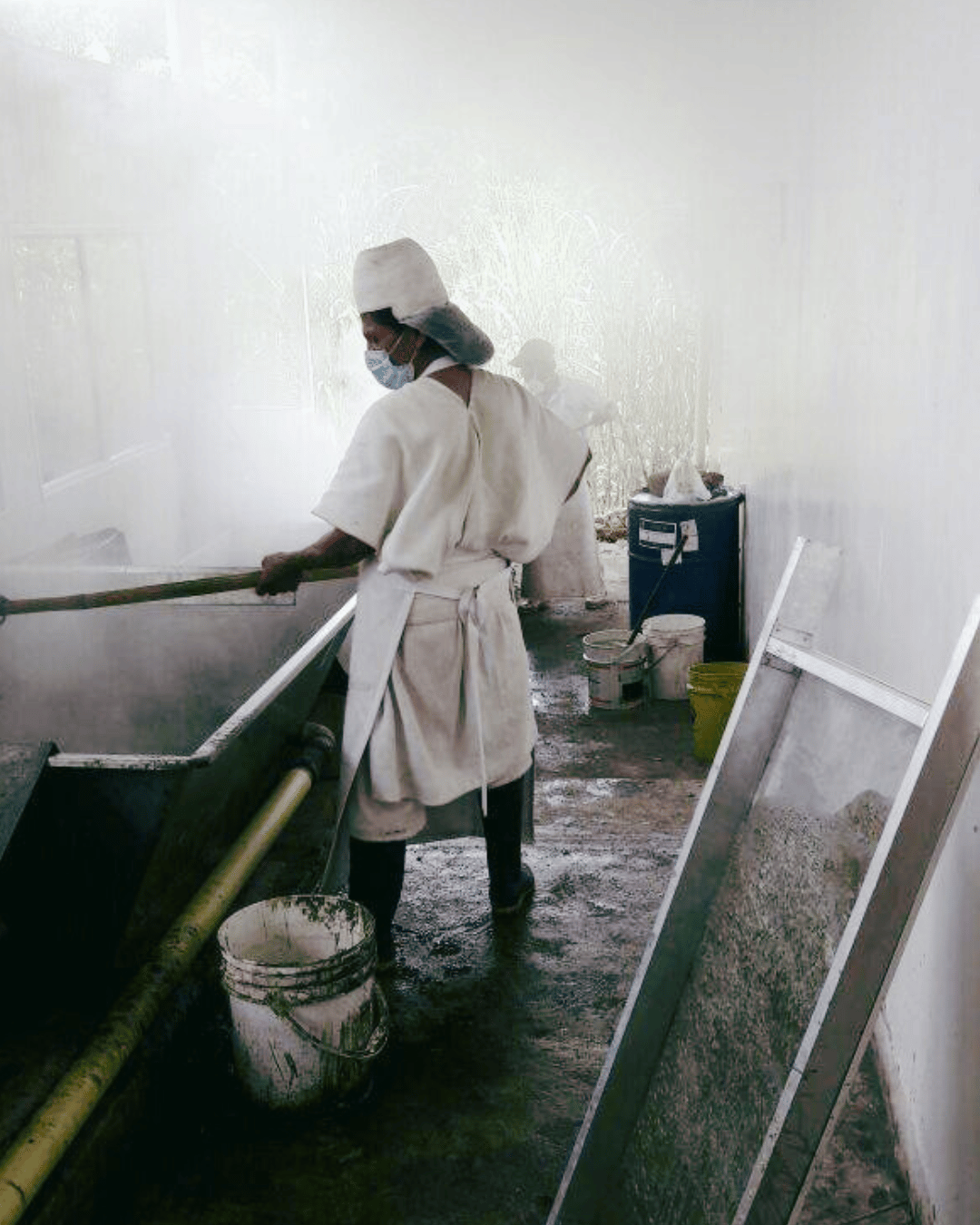 Arhuaco making panela from the juice of sugar cane