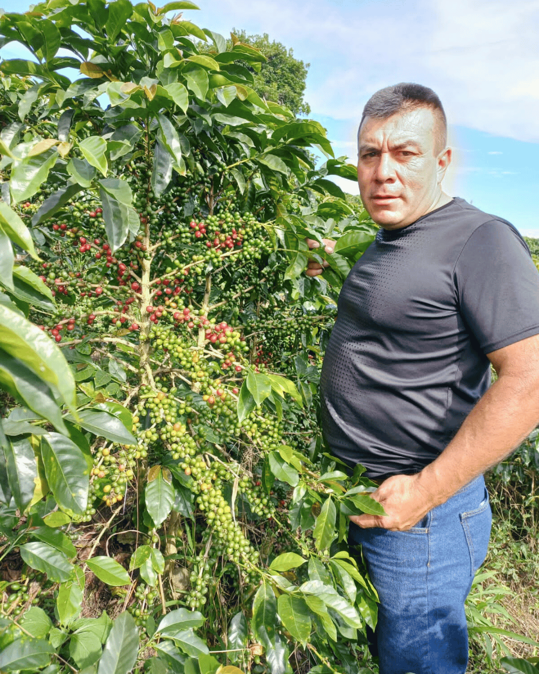 Edisson Vergara Speciality Colombian Coffee