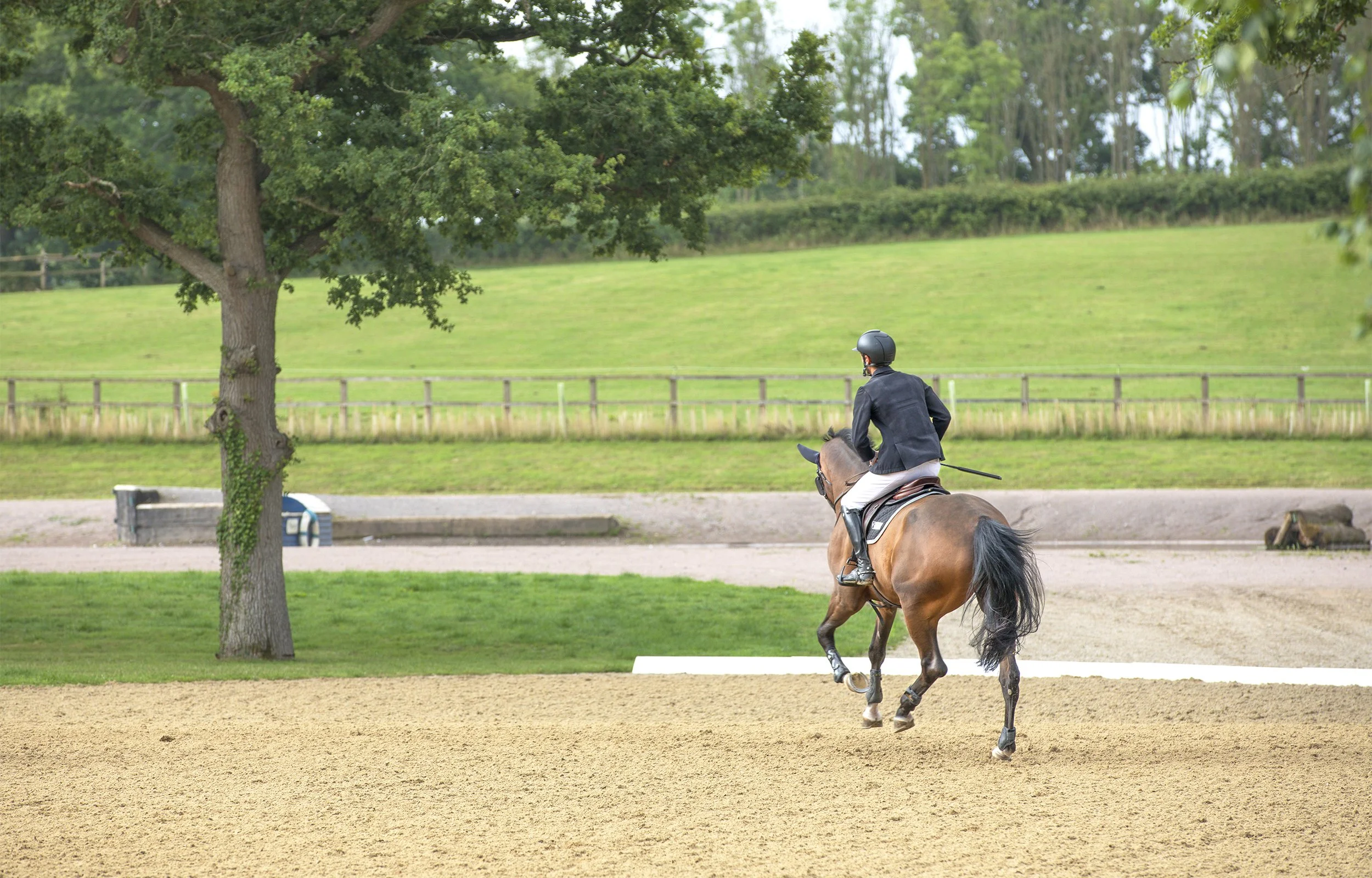 Horse and rider in show jumping attire cantering in an outdoor equestrian arena surrounded by trees.