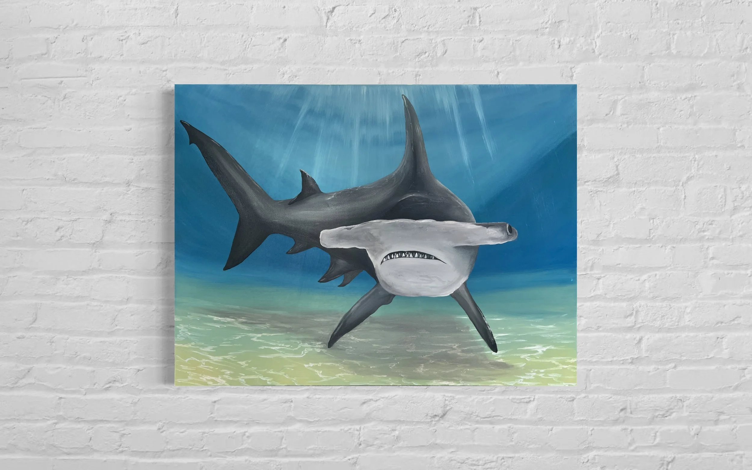 邦楽 Hammer Head Shark Baby Hammerhead Shark : Amazon.com.au: Toys & Games