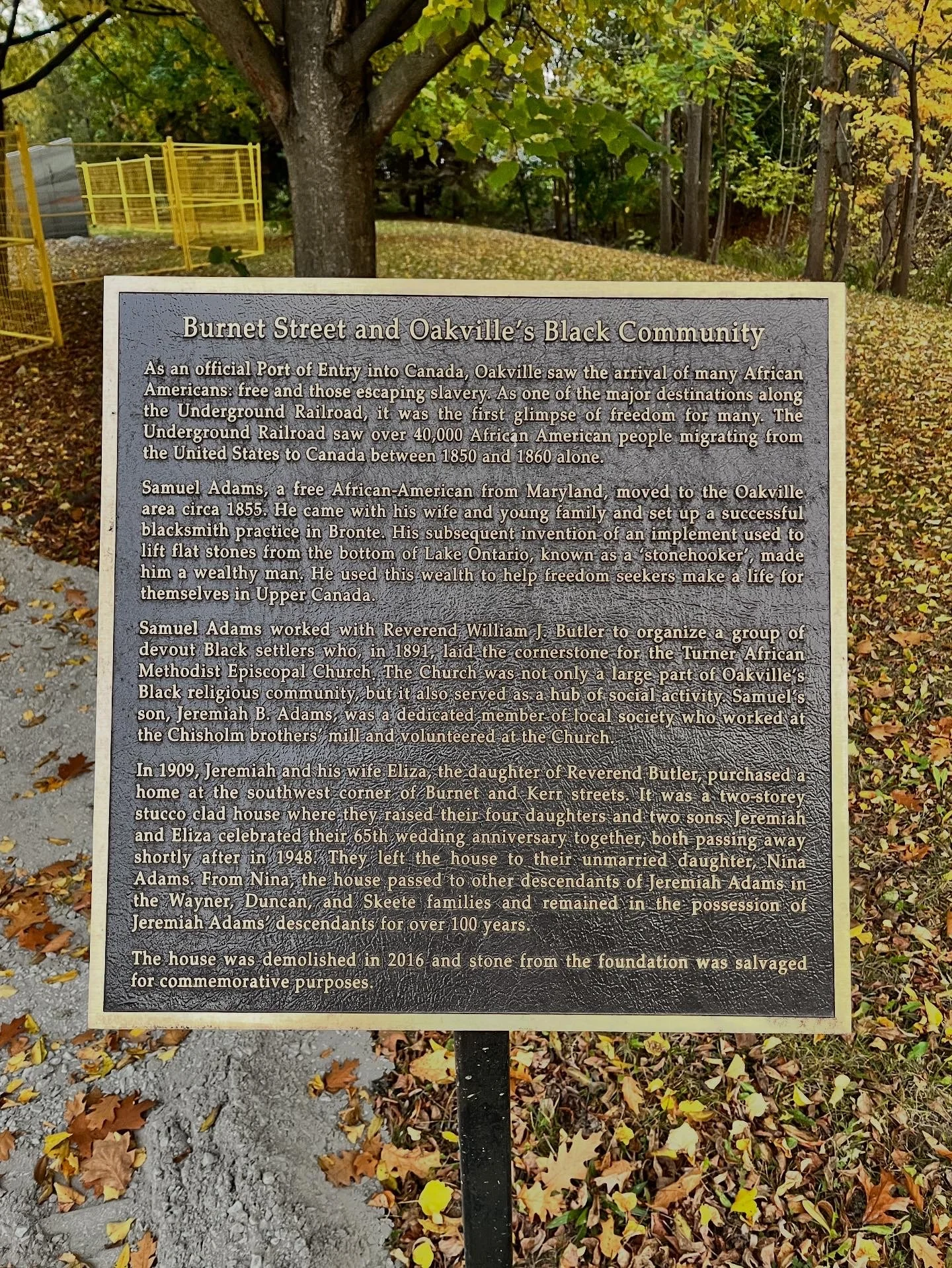 18360A65-1D03-4224-A810-17CDEB5592D5.jpg
