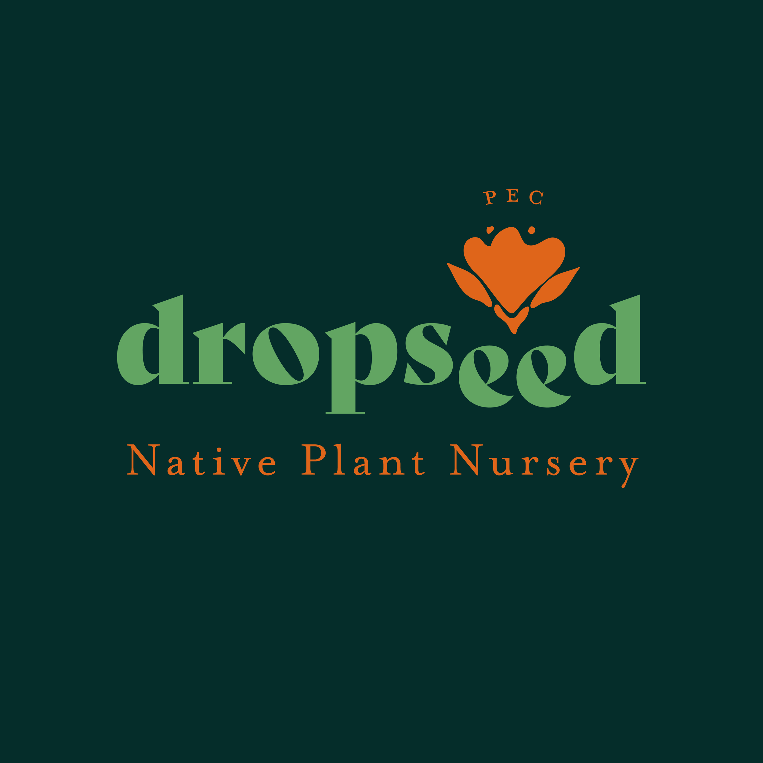 Dropseed logo_website-01.png