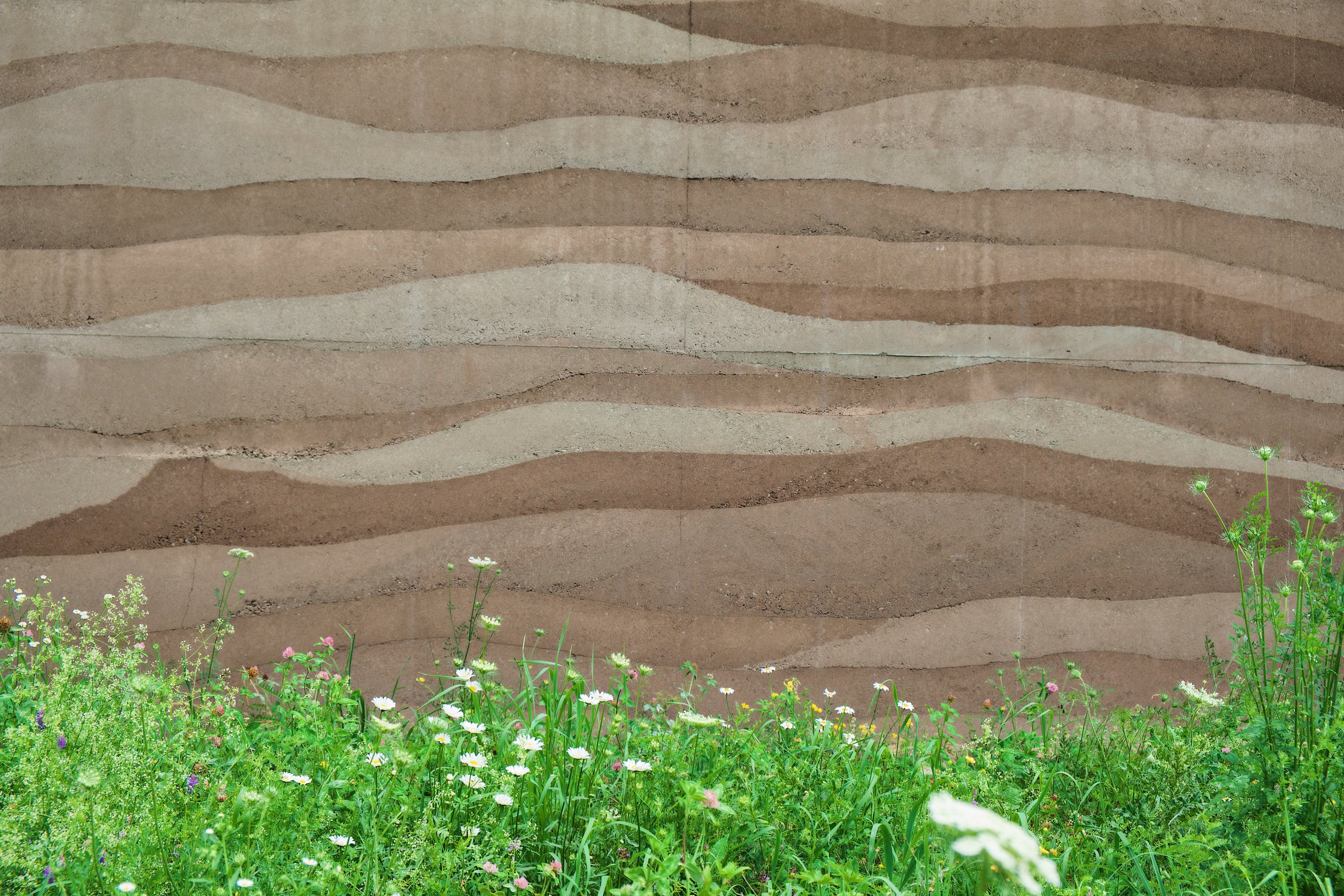Grass and wall .jpg