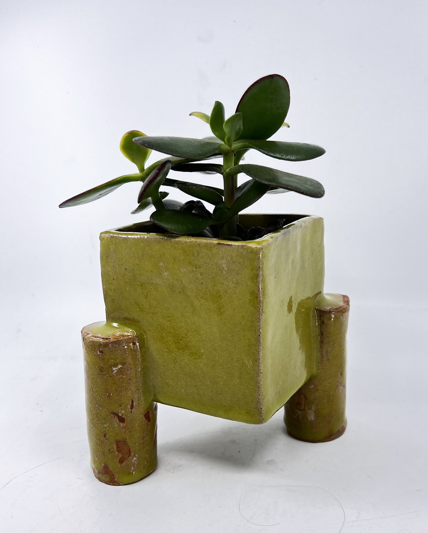 2024 yellow Square planter Charlotte Corini WEB.jpg