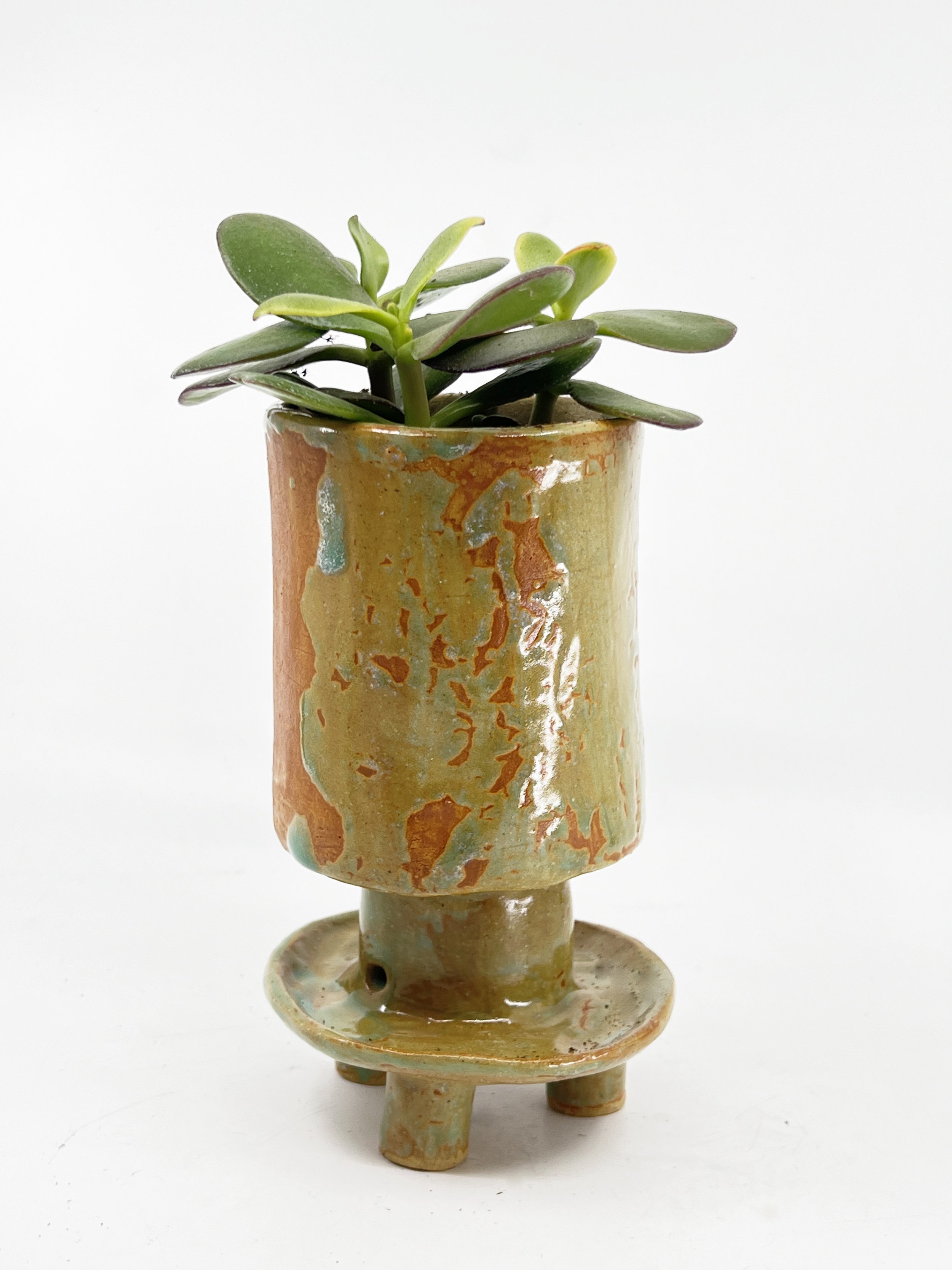 2024 orange and yellow planter Charlotte Corini WEB.jpg