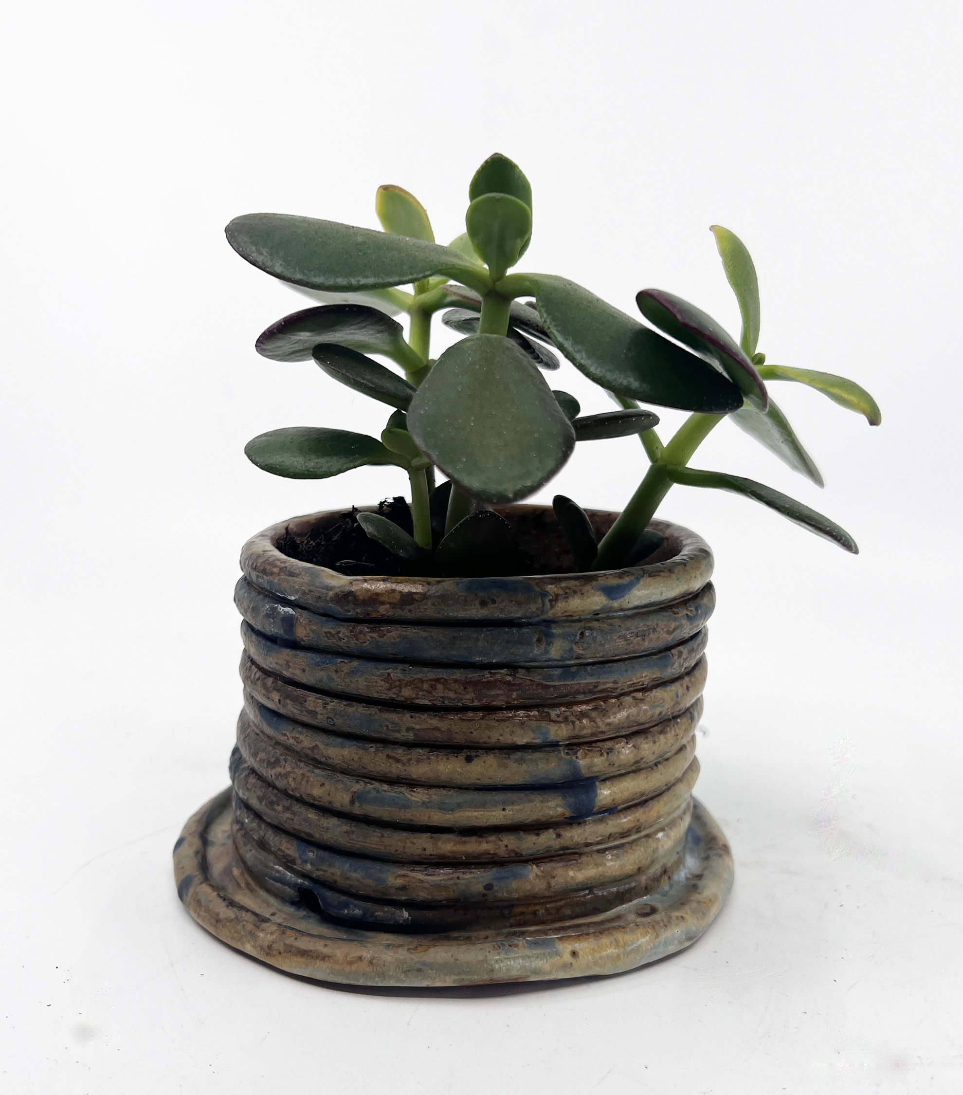 2024 tan blueish planter small Charlotte Corini WEB.jpg