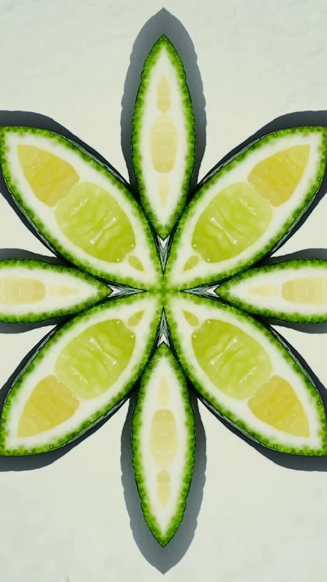 Publix Supermarkets | Greenwise Kaleidoscope Stop Motion