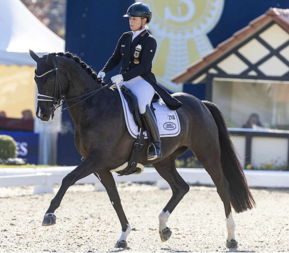 Material and shape of the saddle strap - What is suitable for which horse?