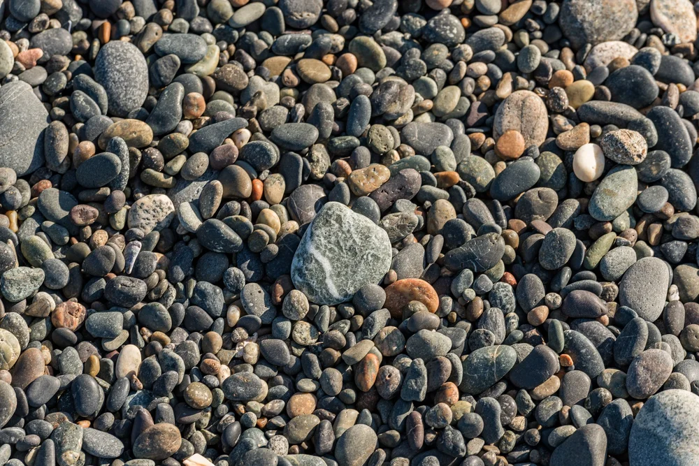 Agate Beach Lodge Agate Beach Lodge
