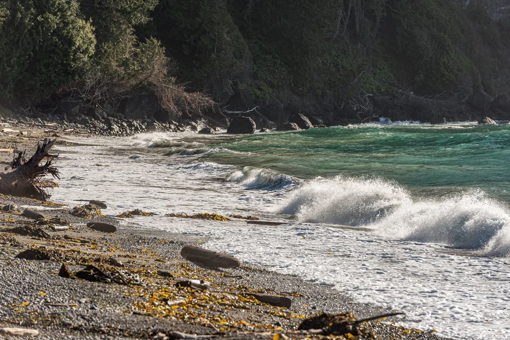 Agate Beach Lodge Agate Beach Lodge