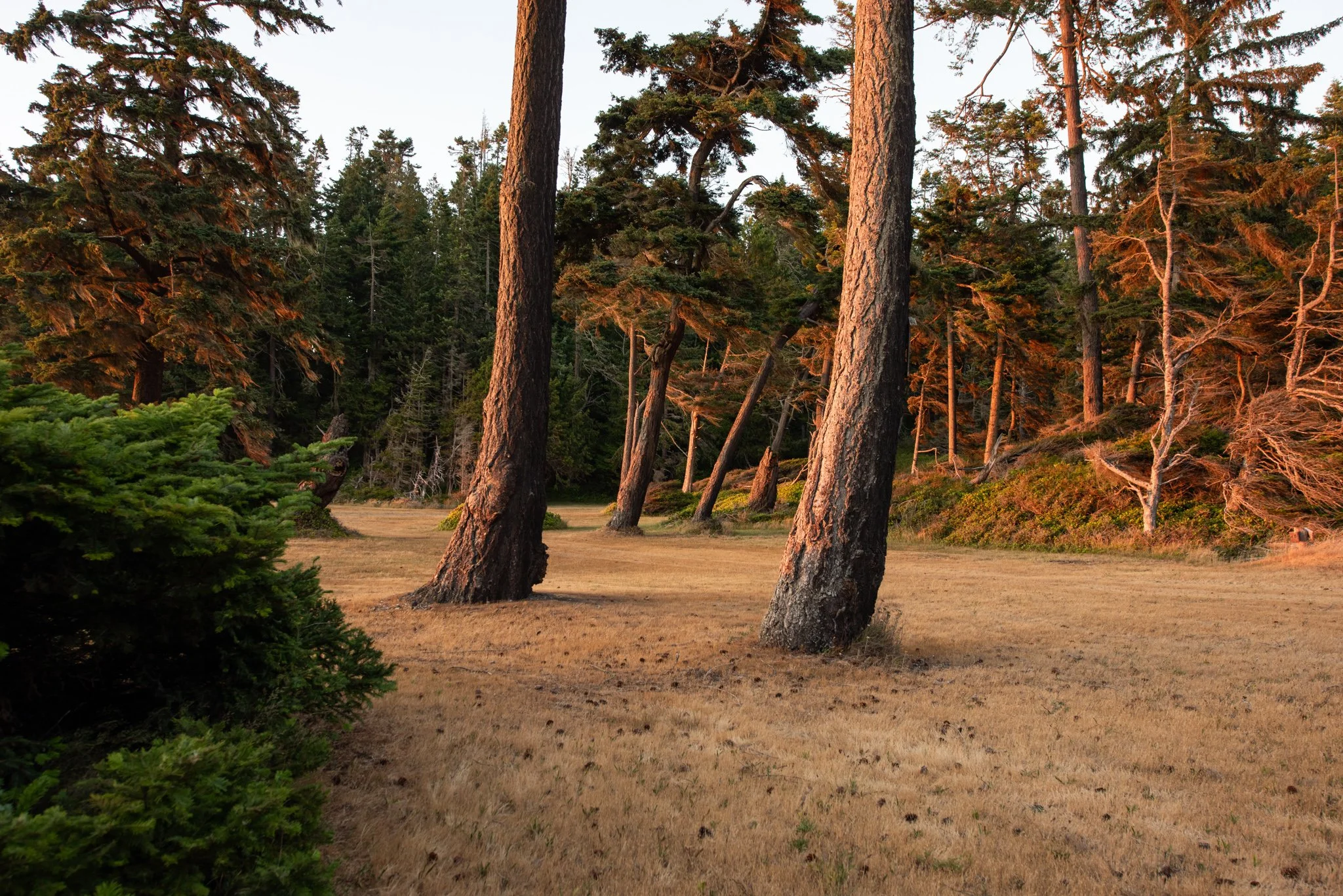 Photo Tour Agate Beach Lodge