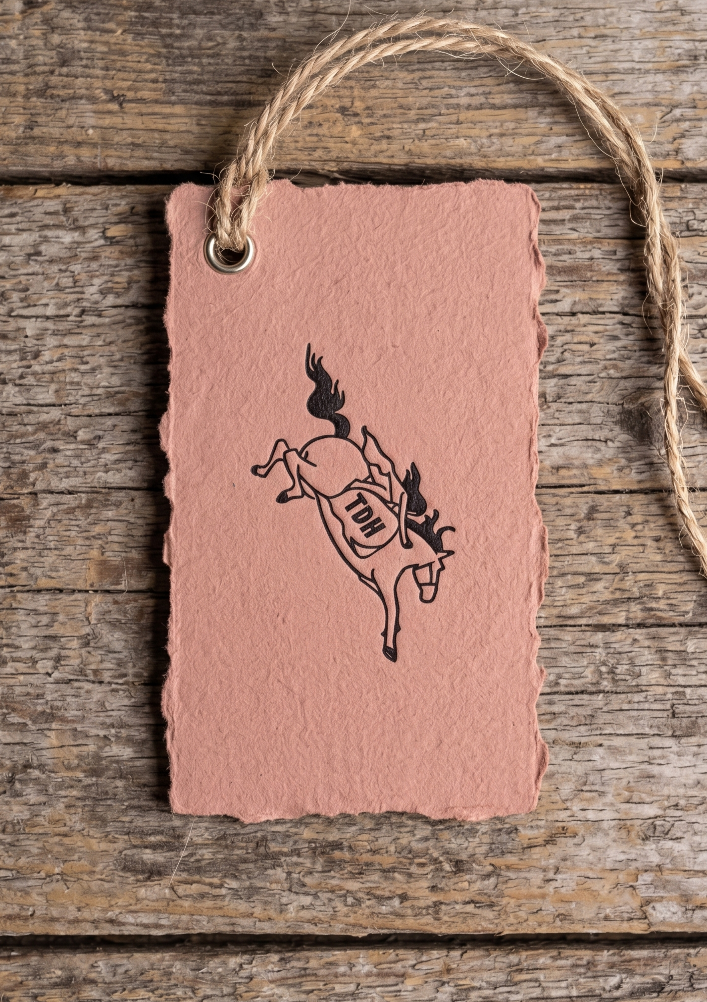The Diving Horse