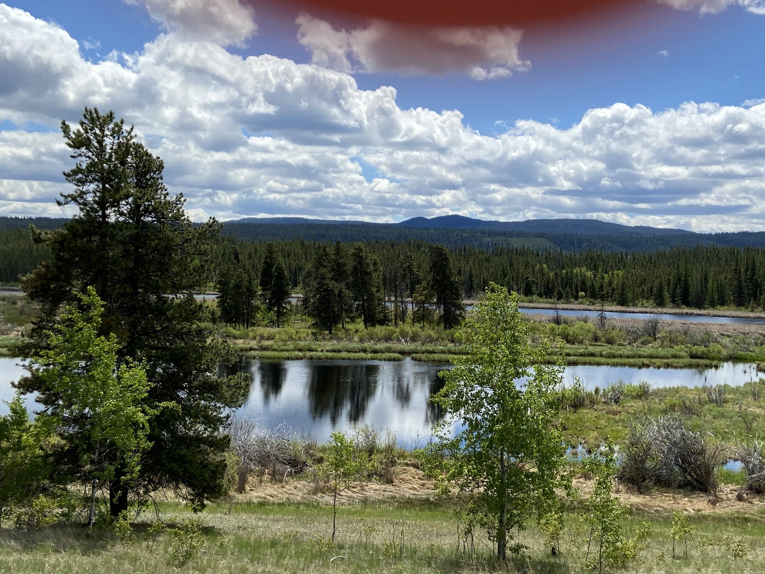 Perfect Lake Reflections in British Columbia Wilderness.jpg