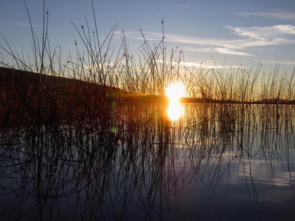 sunrise-through-reeds-woodlands-fishin-resort.jpg