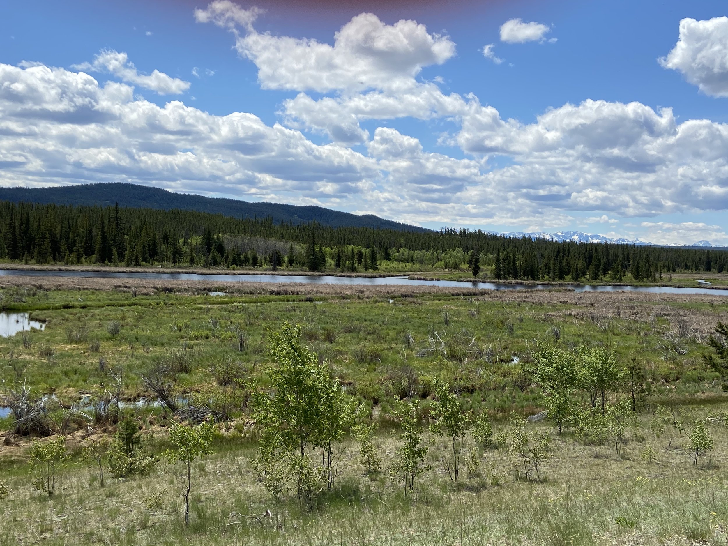 Explore the Wild Nature of British Columbia’s Interior.jpg