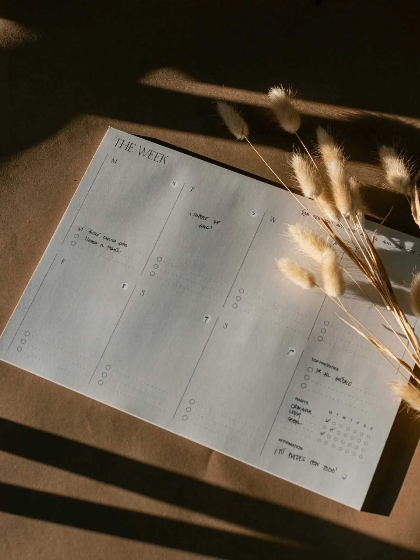 Weekly plans, made prettier 💫
Our minimal weekly planner is one of your all-time favorites &mdash; simple, fresh, and perfect for keeping life in flow.
With just a few months left in the year, it&rsquo;s the perfect time to get organized and finish 