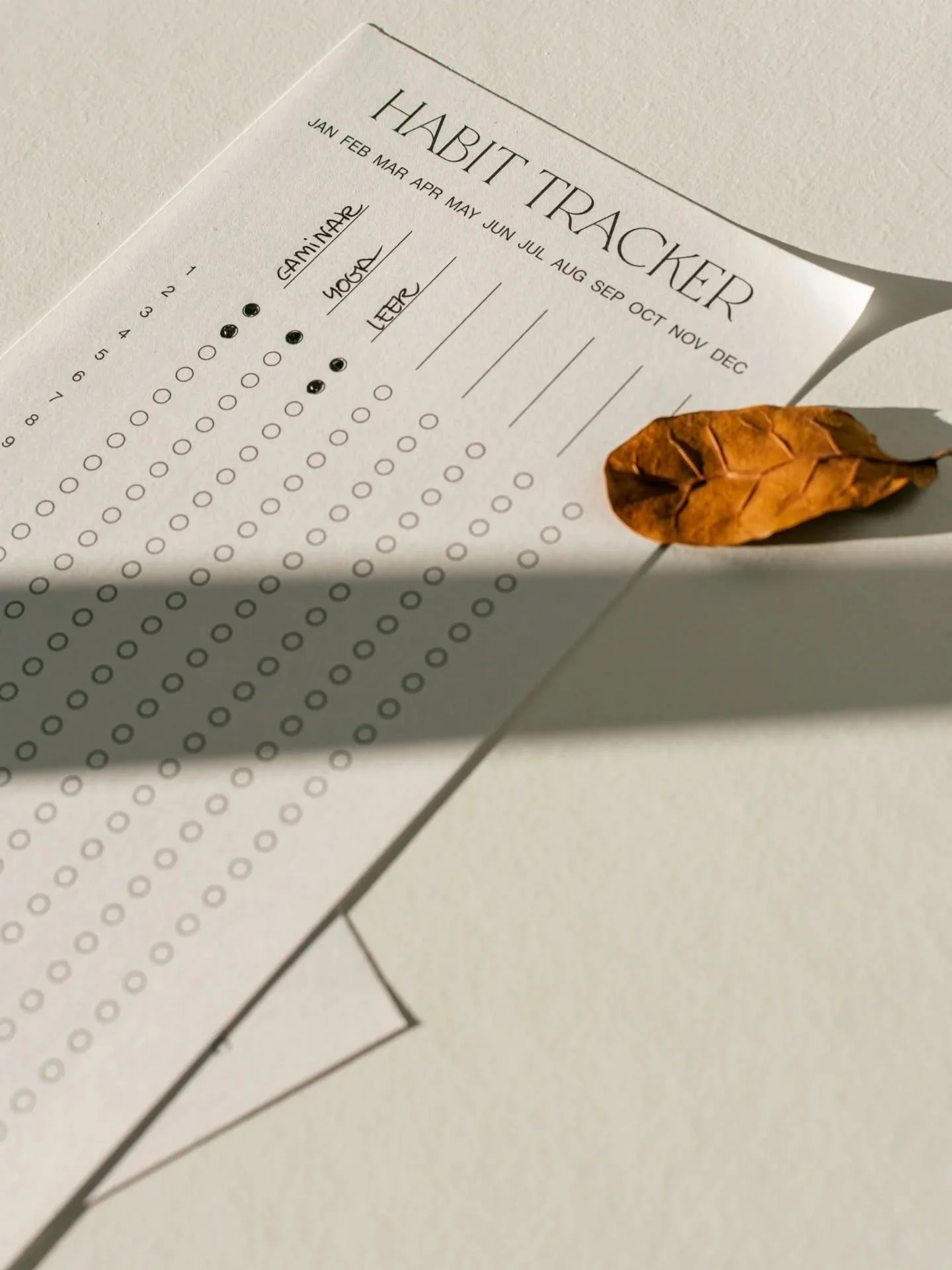 🌾 Not just stationery.
It&rsquo;s the place where your plans slow down,
your thoughts make sense,
and your life finds a little more order &mdash; on paper.

#productivity #planners #stationery