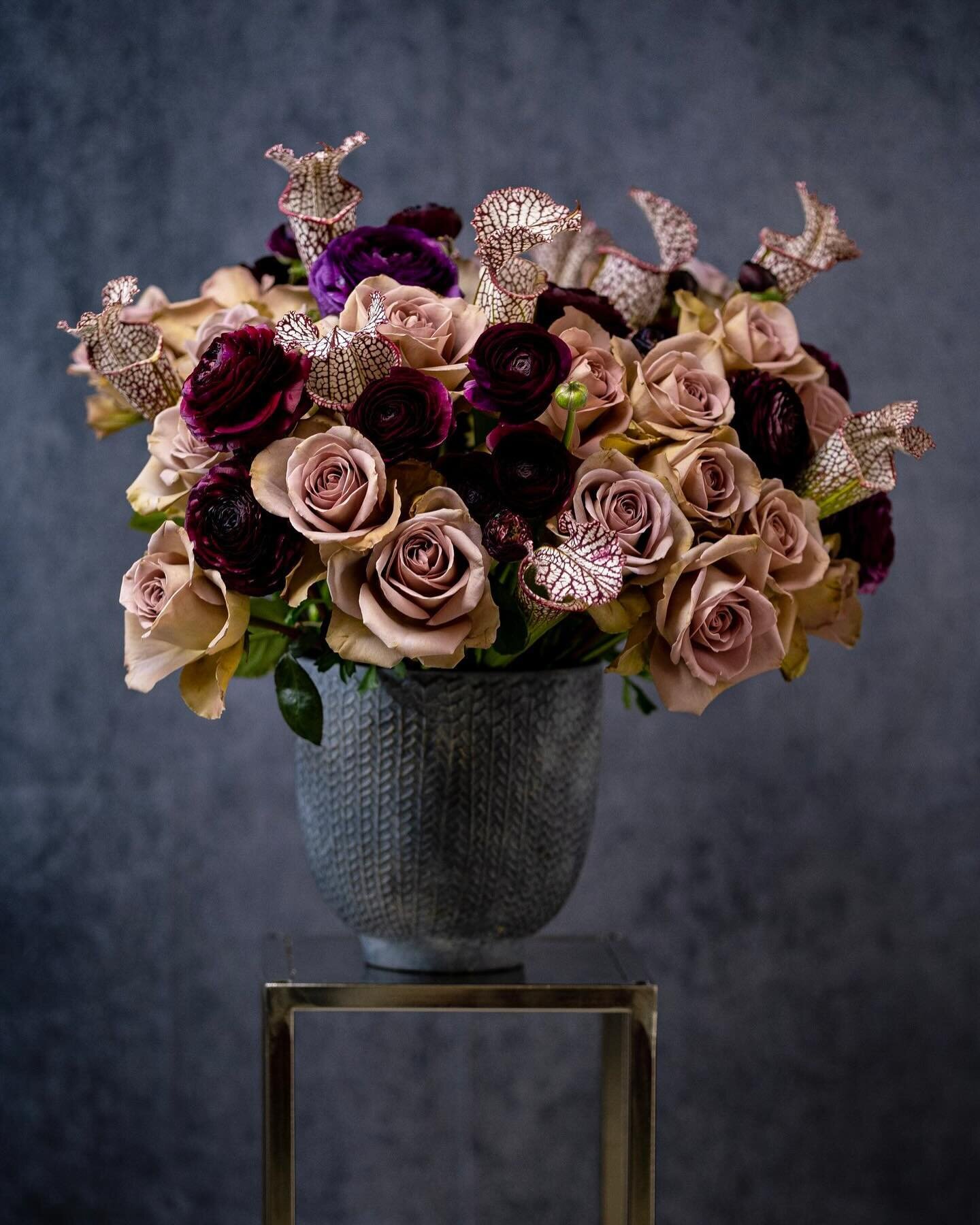 Oh The Drama. Order now to set the October mood. Head to www.rcinc.com today!
.
.
.
.
.
.
.
#flowerstagram #flowers #nyflorist #octobermood #ny #nyc