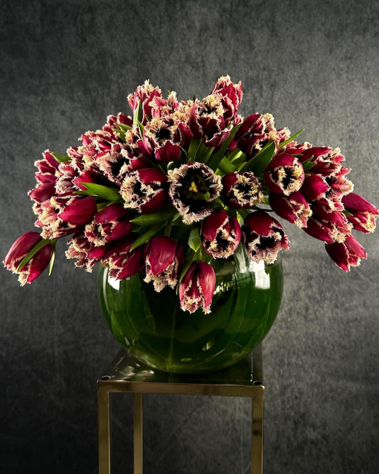 ✨ Product spotlight ✨ 
The Fringe&mdash;A fun arrangement of Dutch fringe tulips in a clear glass fishbowl with so many colors to choose from! Head to our bio for the link to RCInc.com
.
.
.
.
.
.
.
#flowers #flowerstagram #nyc #ny #floral #floraldes