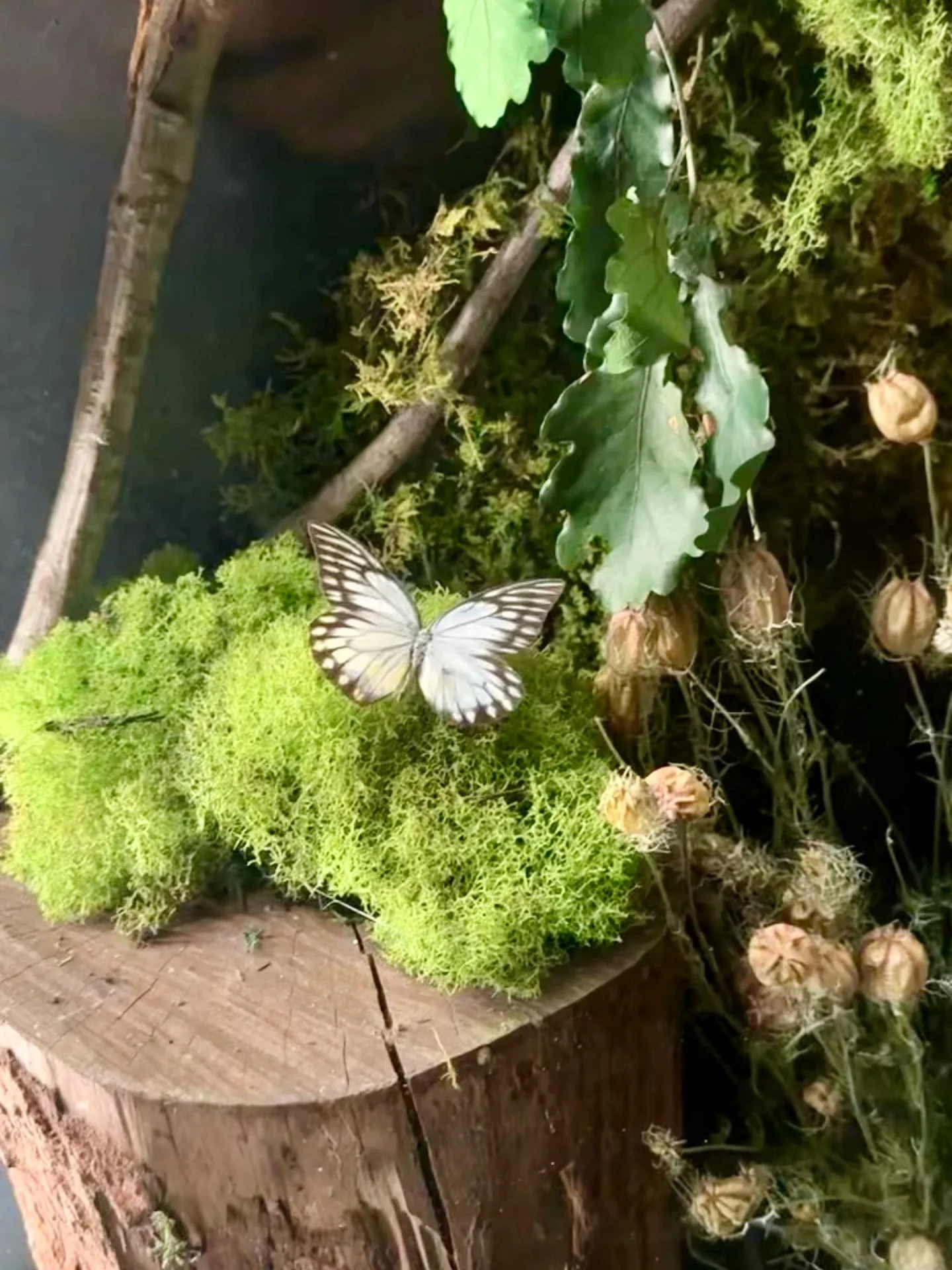 A moment of stillness, tucked inside the city.

For 1 Hotel Brooklyn Bridge, Cottone &amp; Co crafted a landscape window display where every detail feels discovered.  Moss underfoot, raw timber, wild textures, and quiet sense of life unfolding.  Even