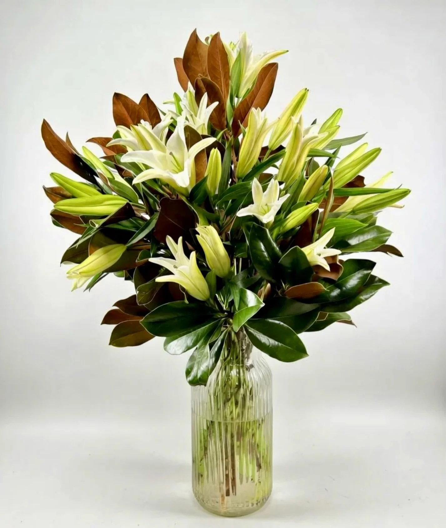 For the one who made everything gentle.

The Classic Lily&mdash;
soft, luminous,
a quiet kind of love.

20% off for Mother&rsquo;s Day.

#CottoneAndCo #MothersDay #WhiteFlorals #QuietLuxury #NYCFlorist