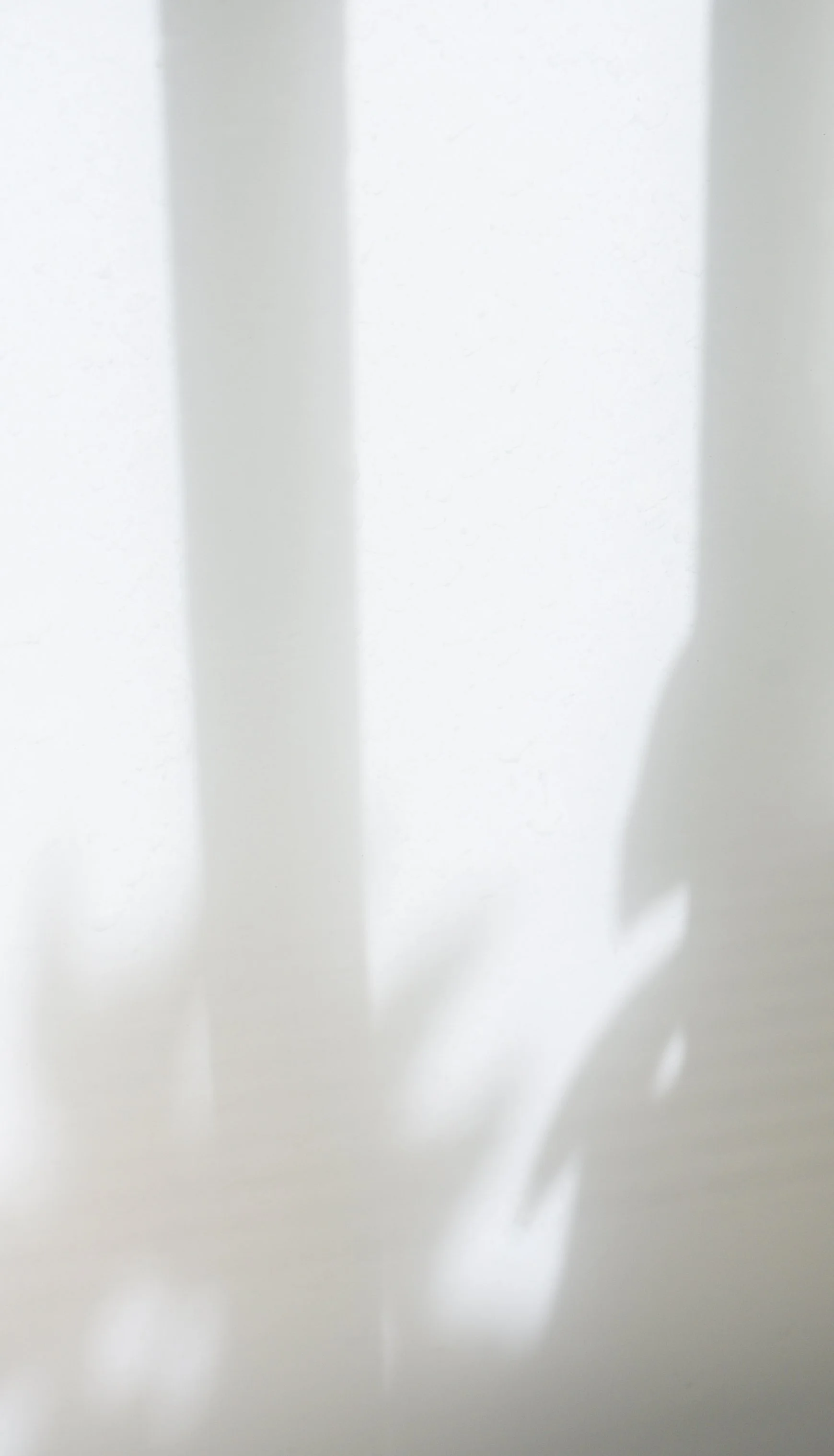 A shadow cast on a white wall or surface, creating a silhouette of a face with glasses and possibly a hat.