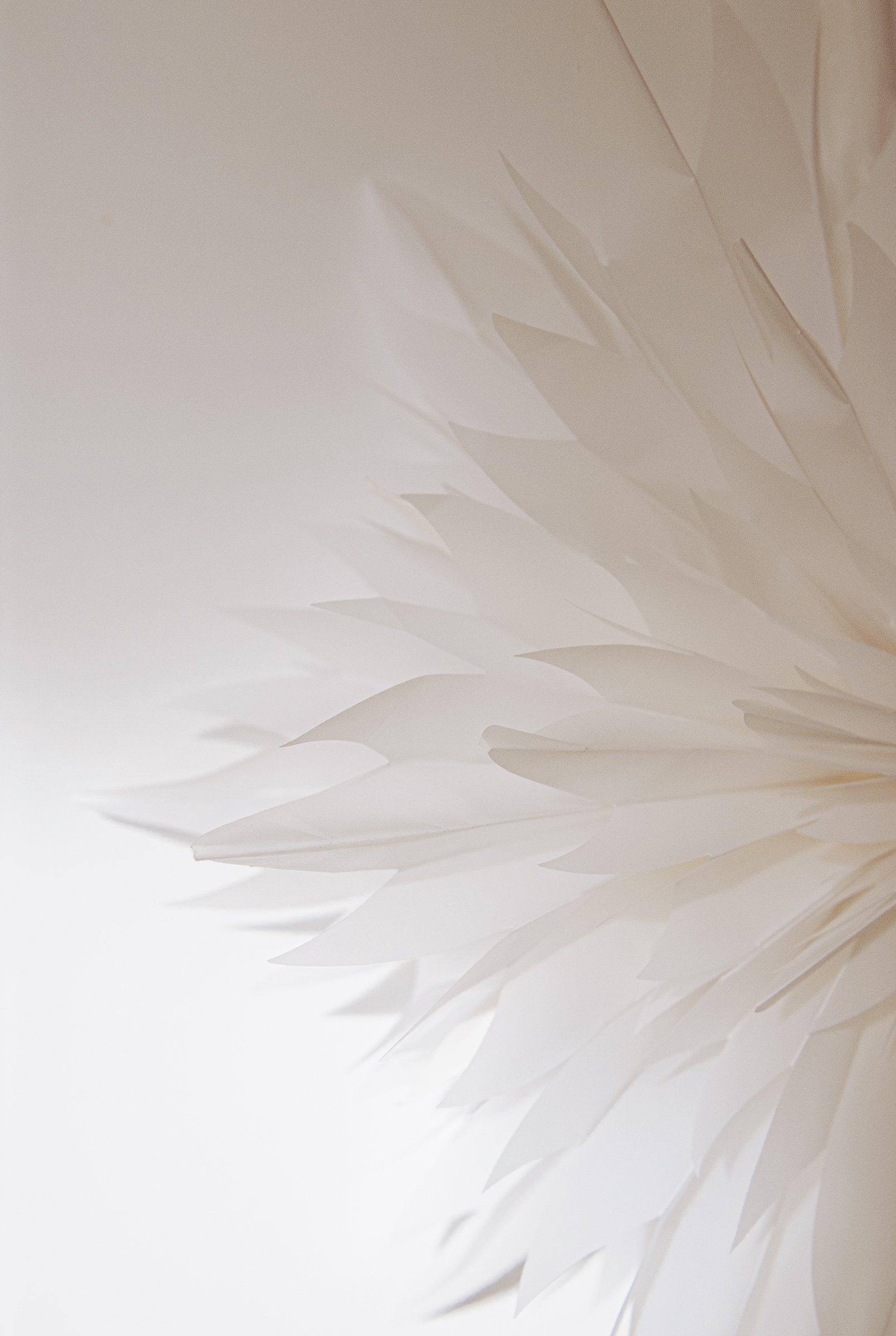 Close-up of white paper or plastic sheets layered with pointed edges, creating a spiky or feathered pattern against a light background.