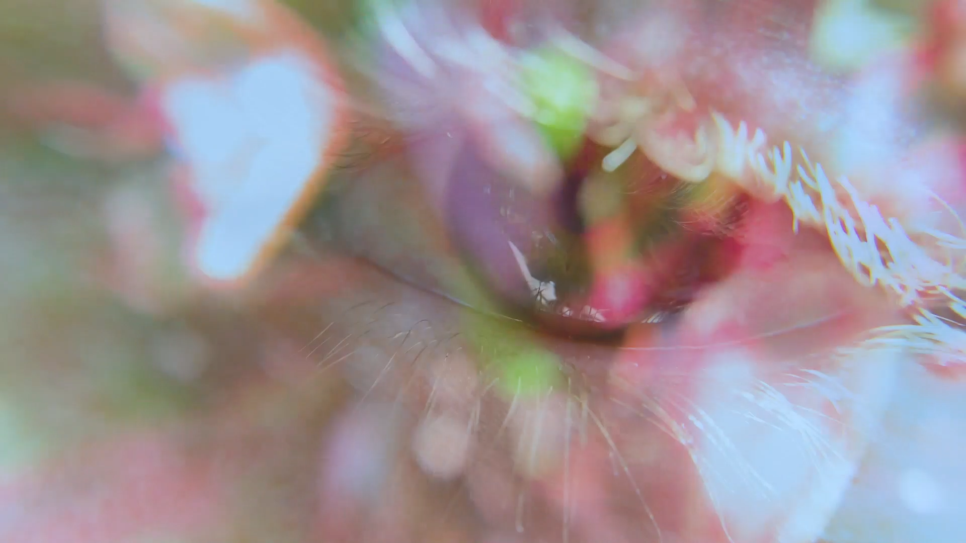 STILLS_1.4.20.png