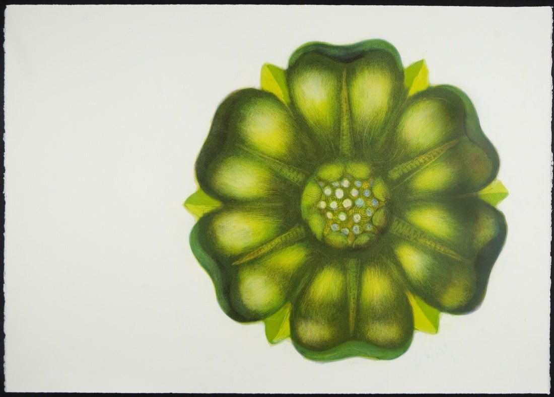 Green Blossom, monotype, 30" x 42"
