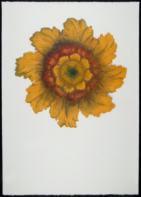 Orange Blossom I, monotype, 42" x 30"