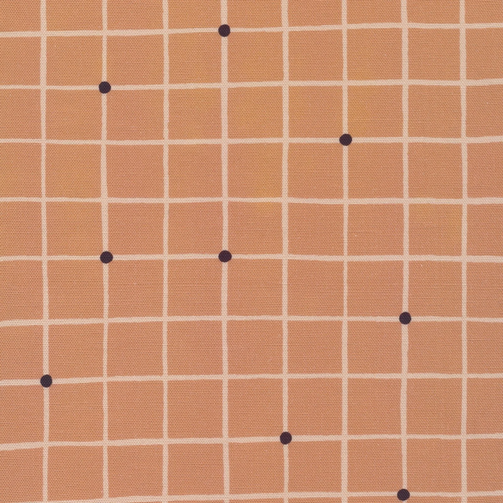 Impromptu: Dotted Grid Canvas by Alex Roda