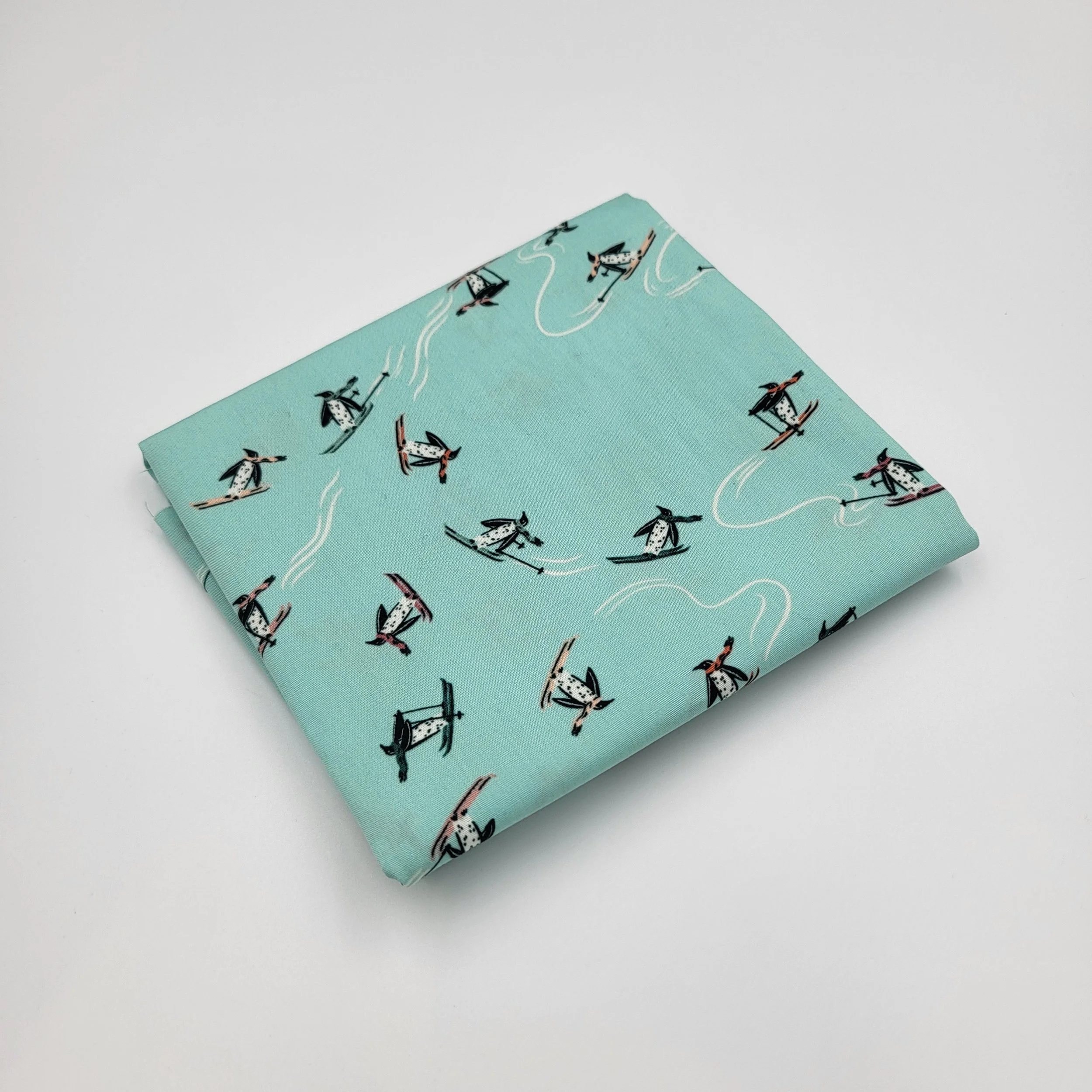 REMNANT: AGF: Christmas In The Cabin - Snow Rush (1/2 metre)