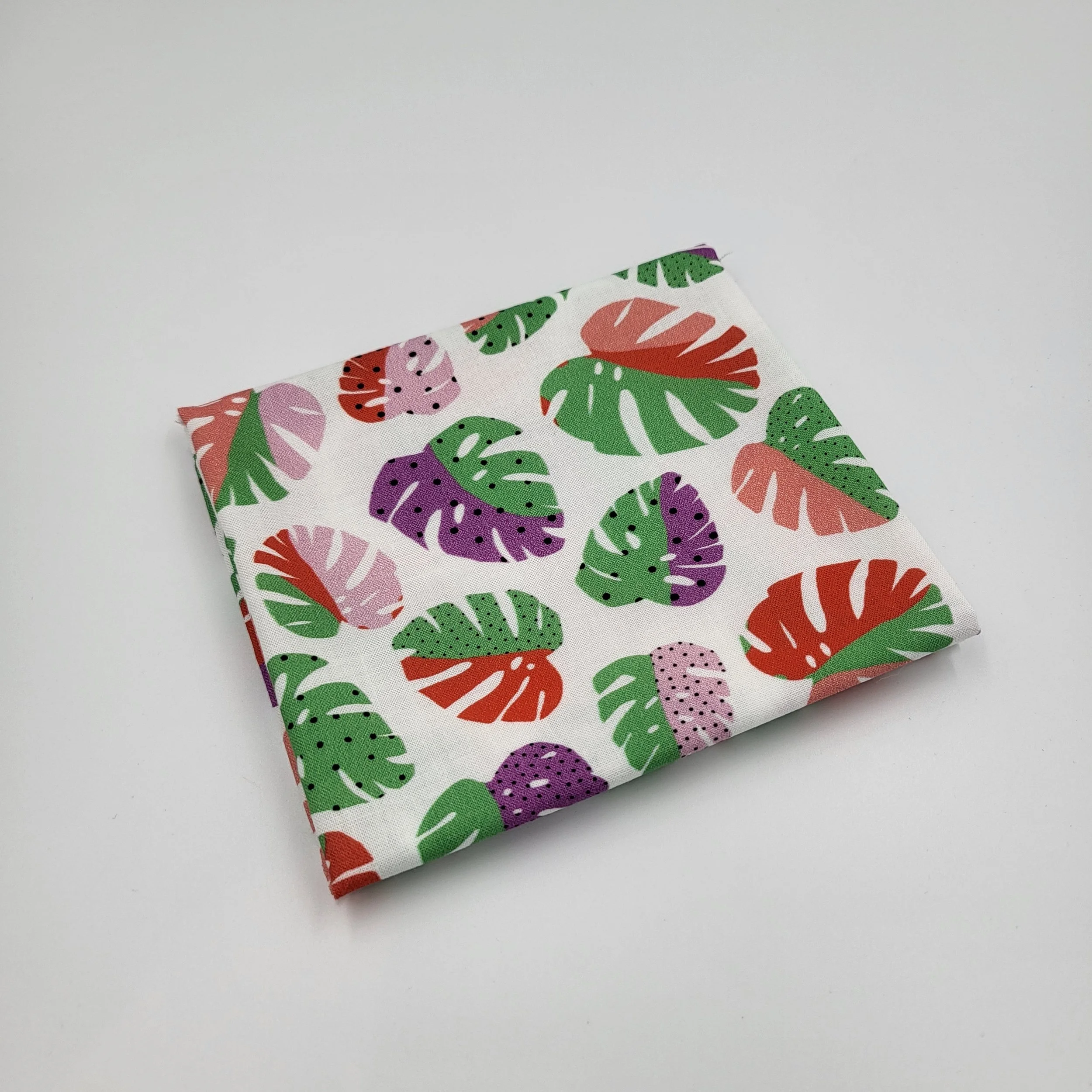 REMNANT: Cloud9 Happy Days - Happy Monstera