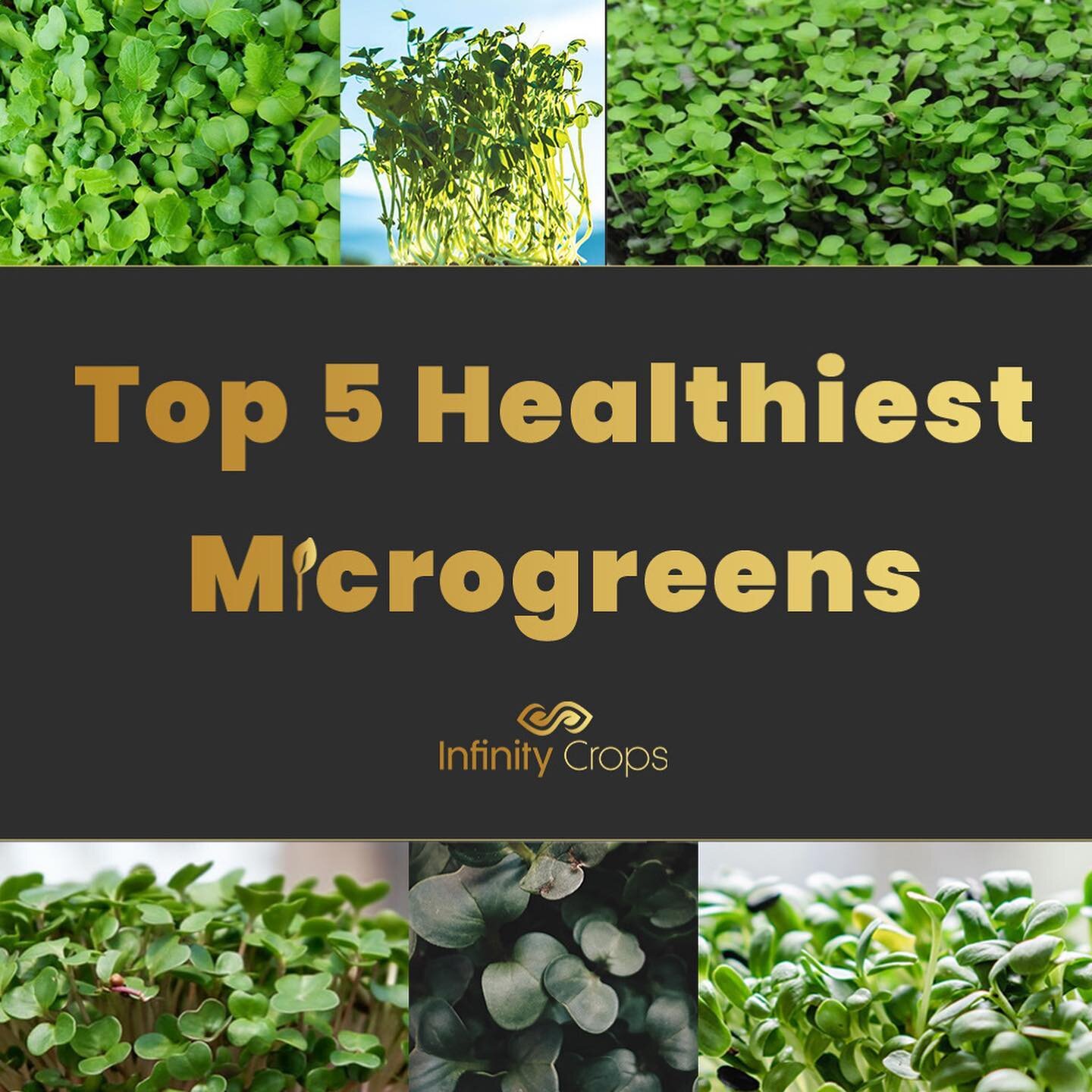 🌱🌱 What&rsquo;s your favorite microgreen? 🌱🌱

&mdash;&mdash;&mdash;&mdash;&mdash;&mdash;&mdash;&mdash;&mdash;&mdash;&mdash;&mdash;&mdash;&mdash;&mdash;&mdash;&mdash;

Although all pack a nutritional punch, these microgreens stand out for their ex