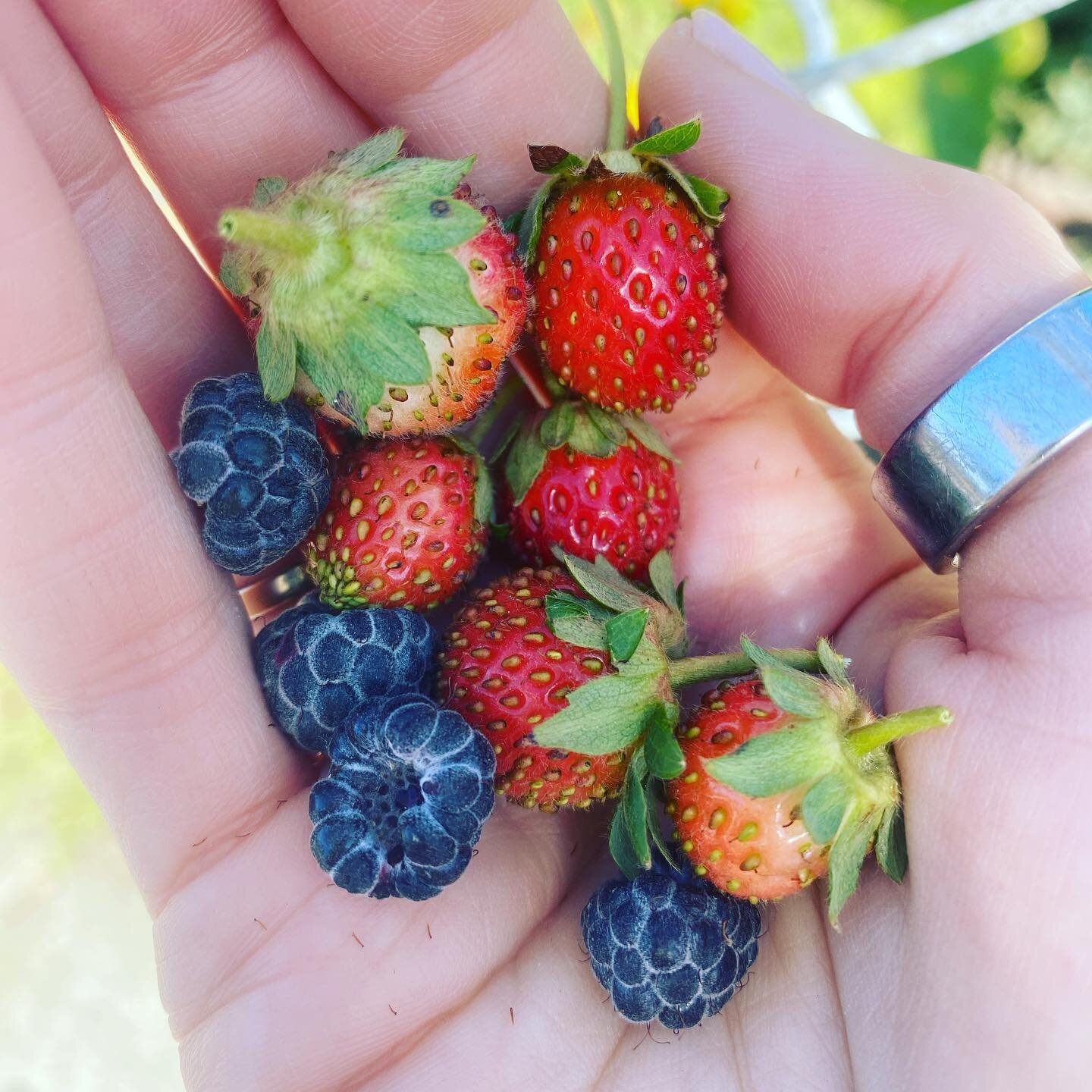 Did you know&hellip;

Berries are a high fiber, low sugar fruit choice! They&rsquo;re also packed full of antioxidants to protect against cellular damage.

Plus they&rsquo;re easy to grow - and gardening has its own mood and health promoting benefits