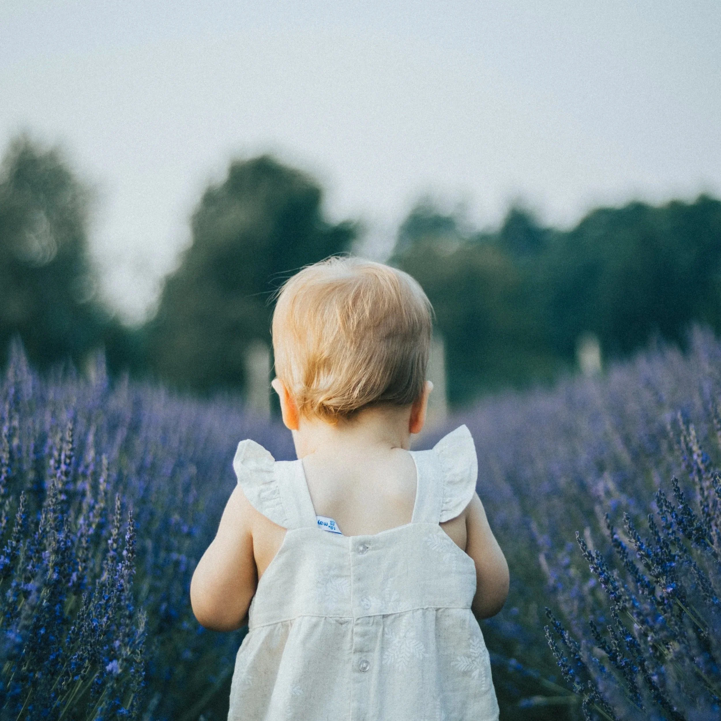 THE LAVENDER SESSIONS PT.II