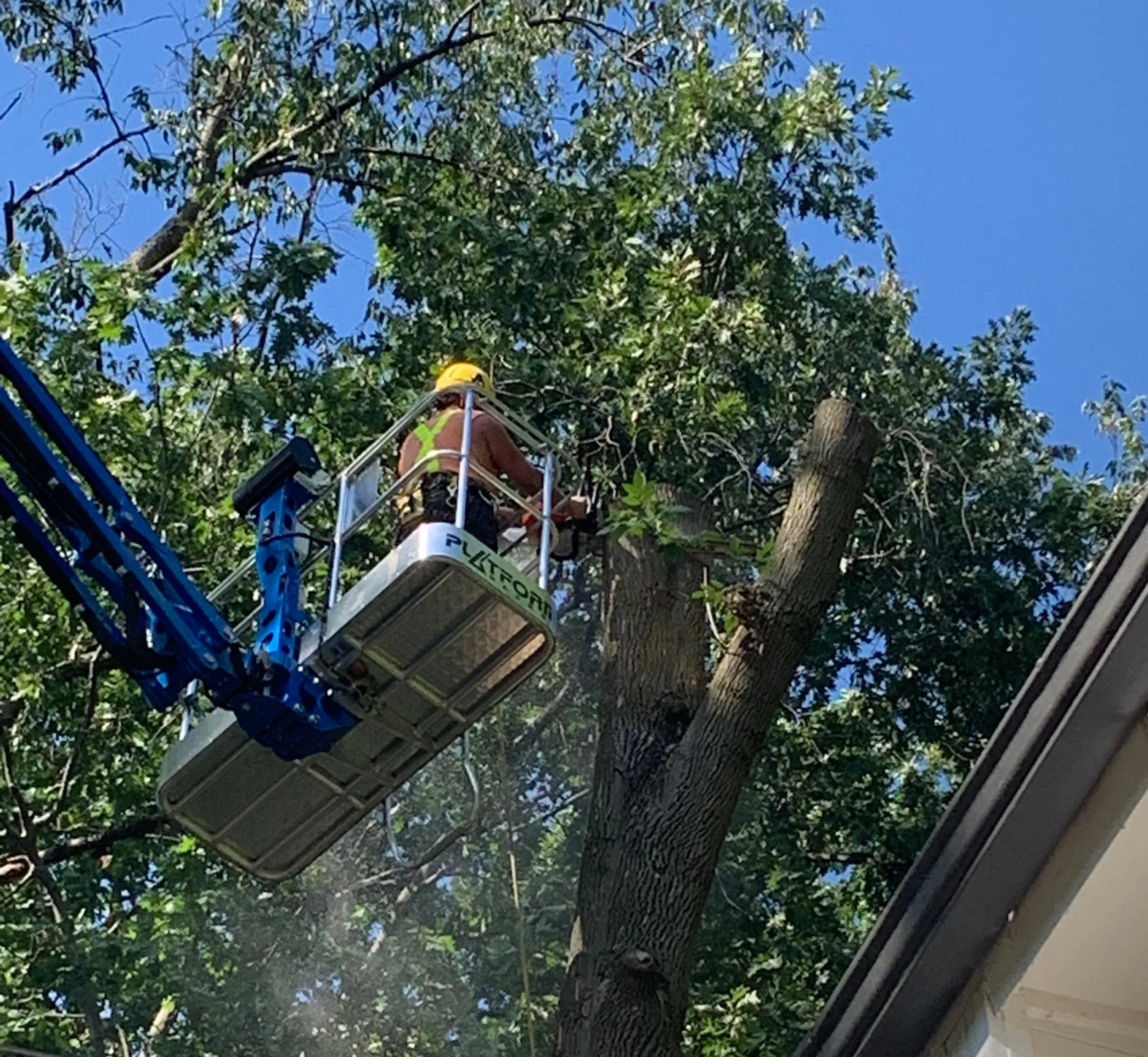 Lift tree removal