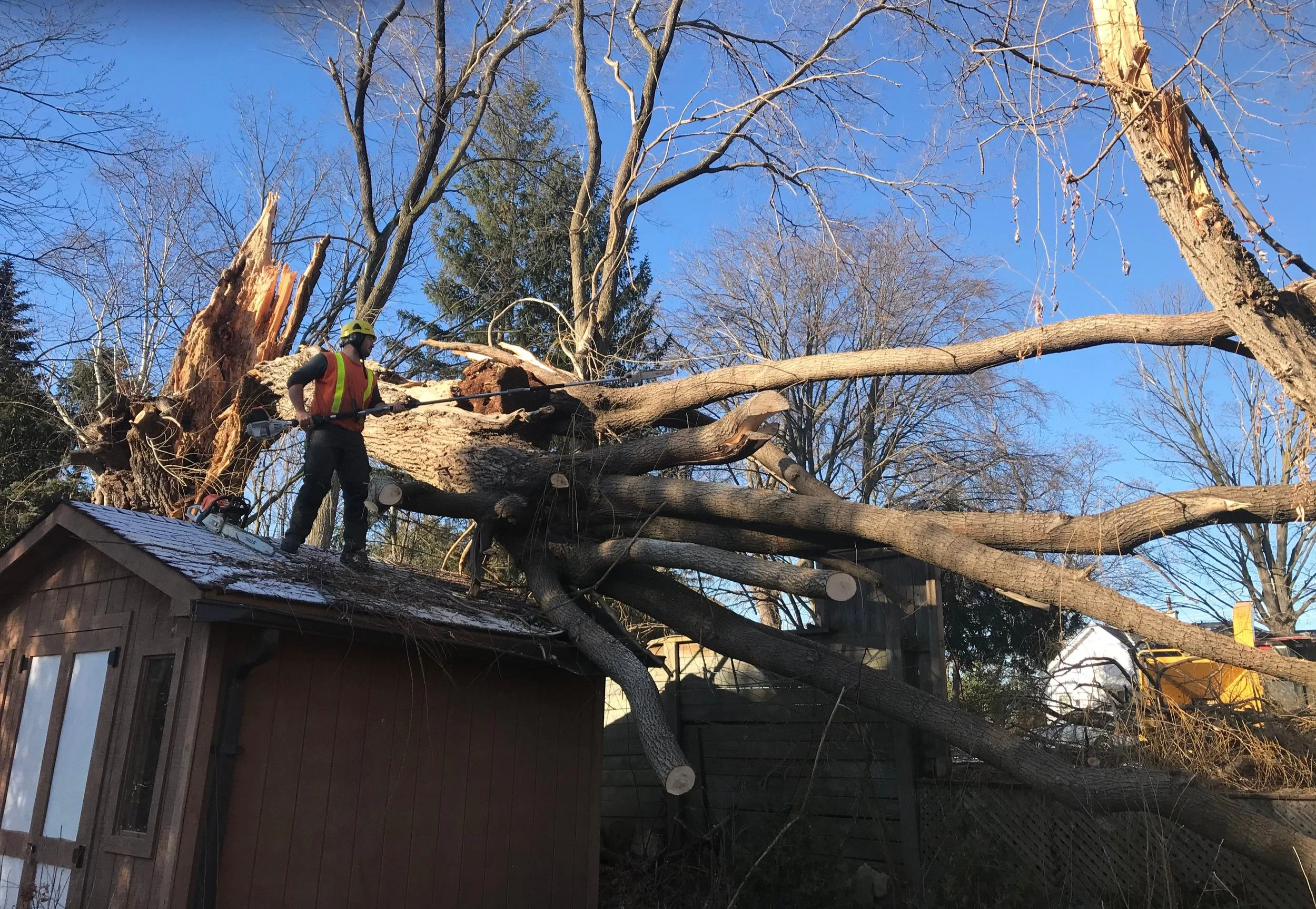 Emergency Tree work