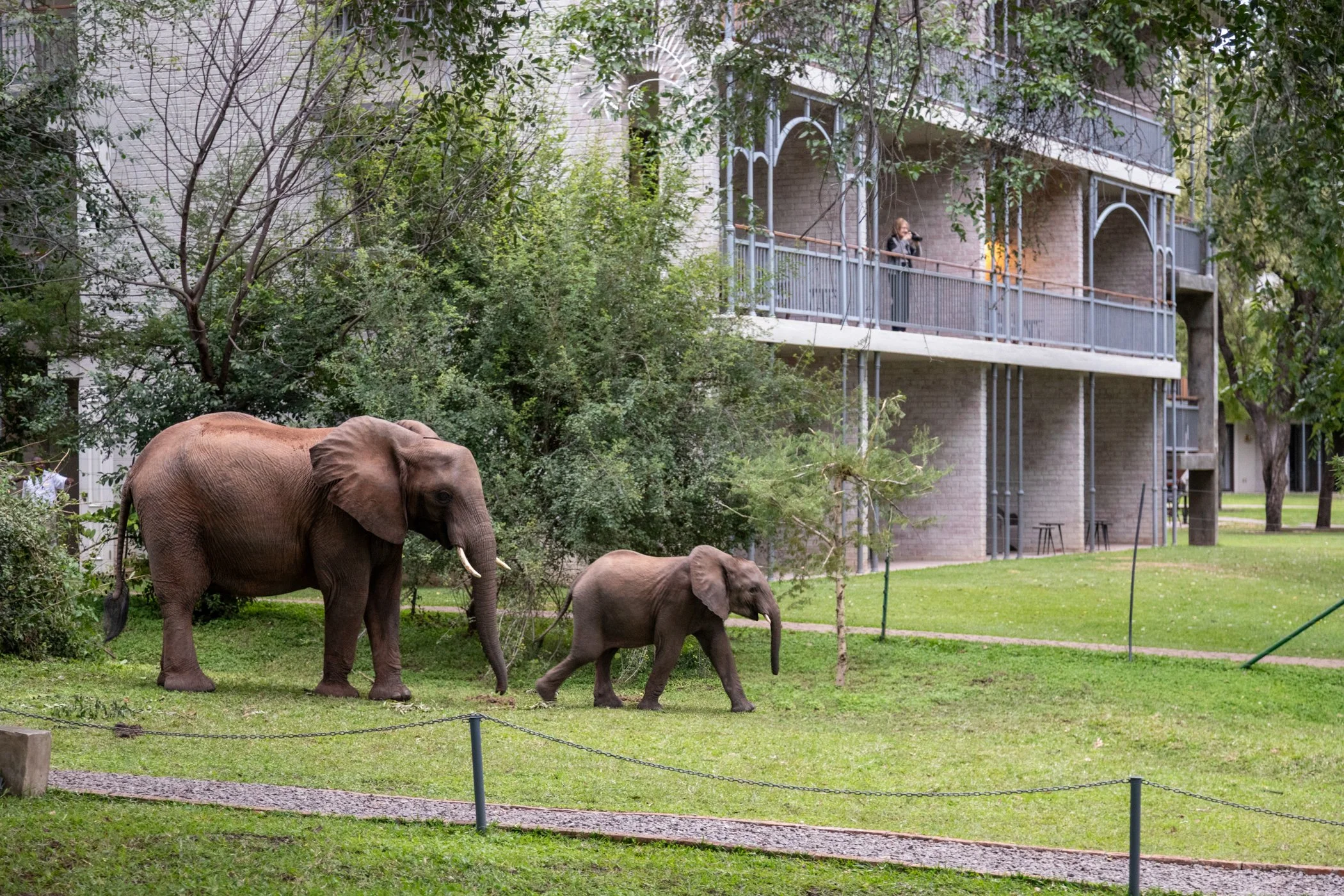 Ilala-Lodge-Experience-Zambezi-River-Deck-05.jpg